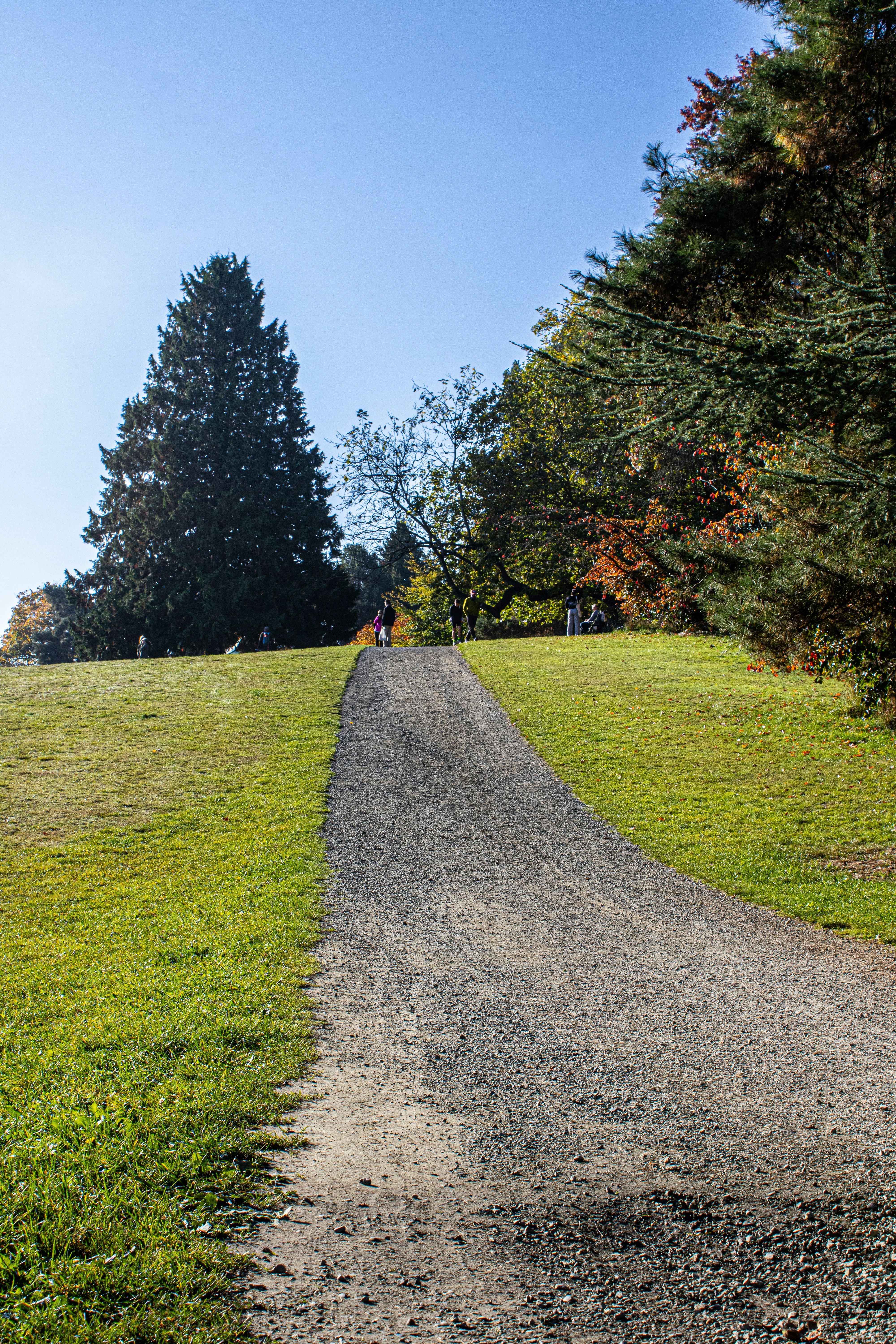 Photo by prphotography262