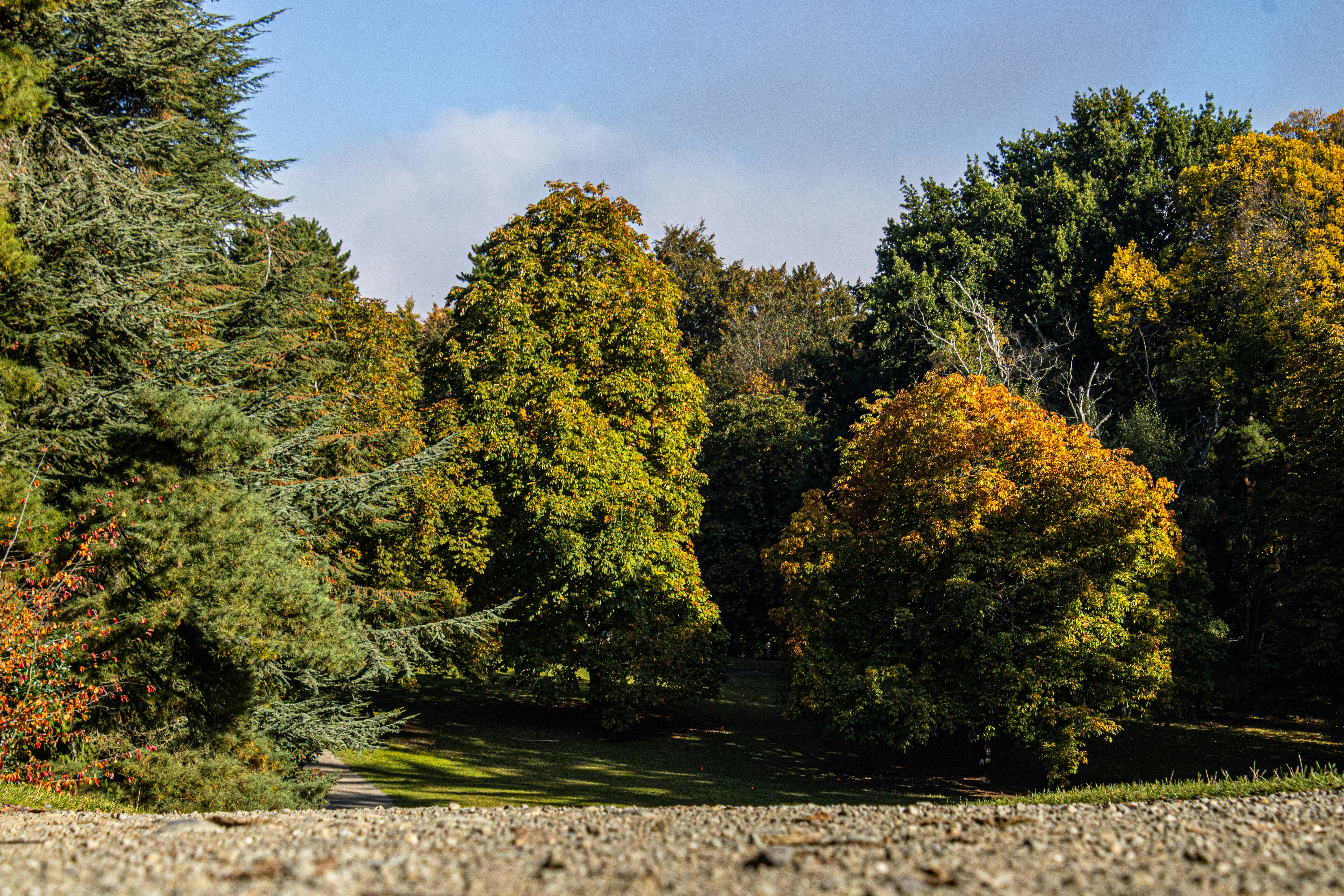 Photo by prphotography262