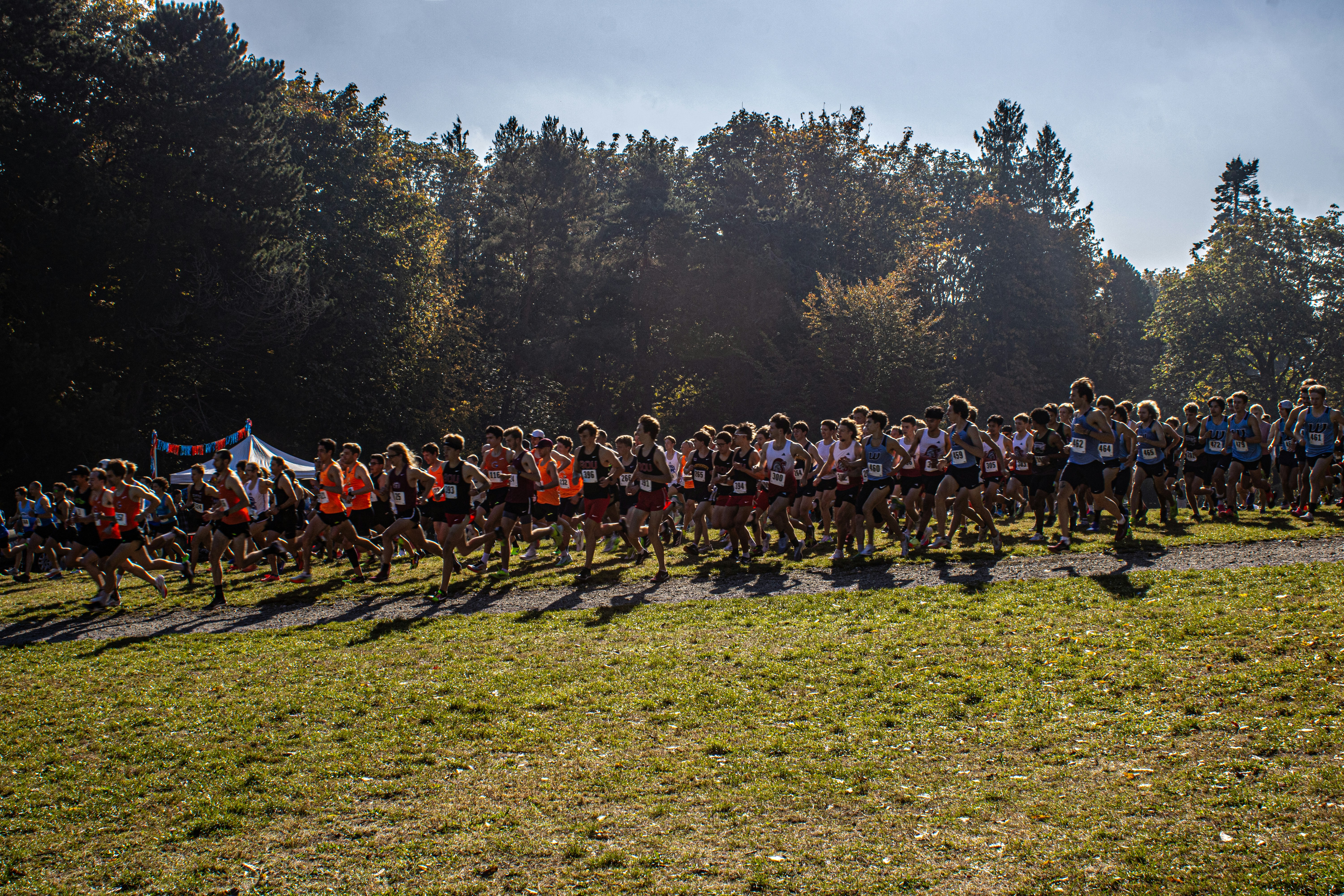 A large group of people riding bikes down a road