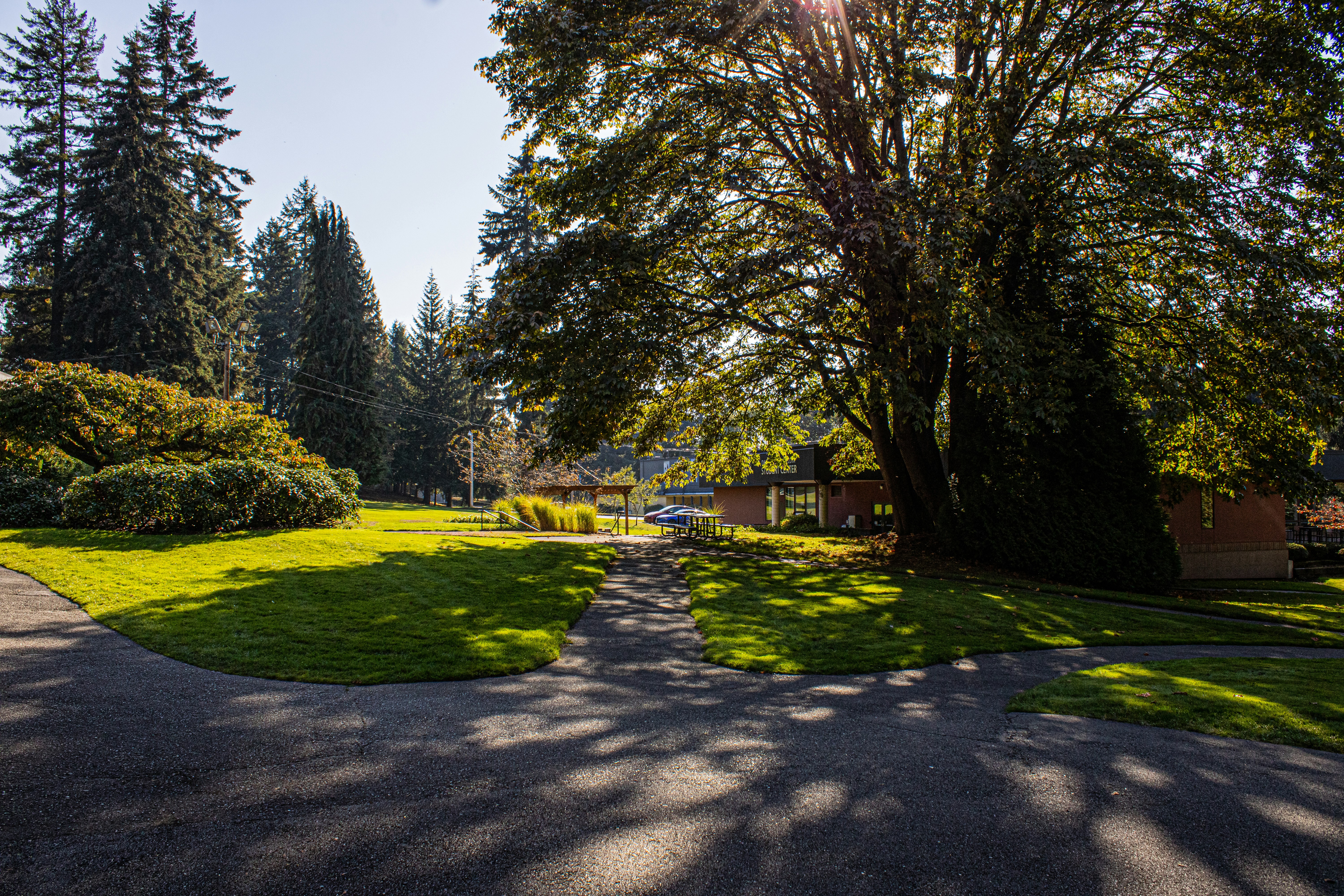 Photo by prphotography262