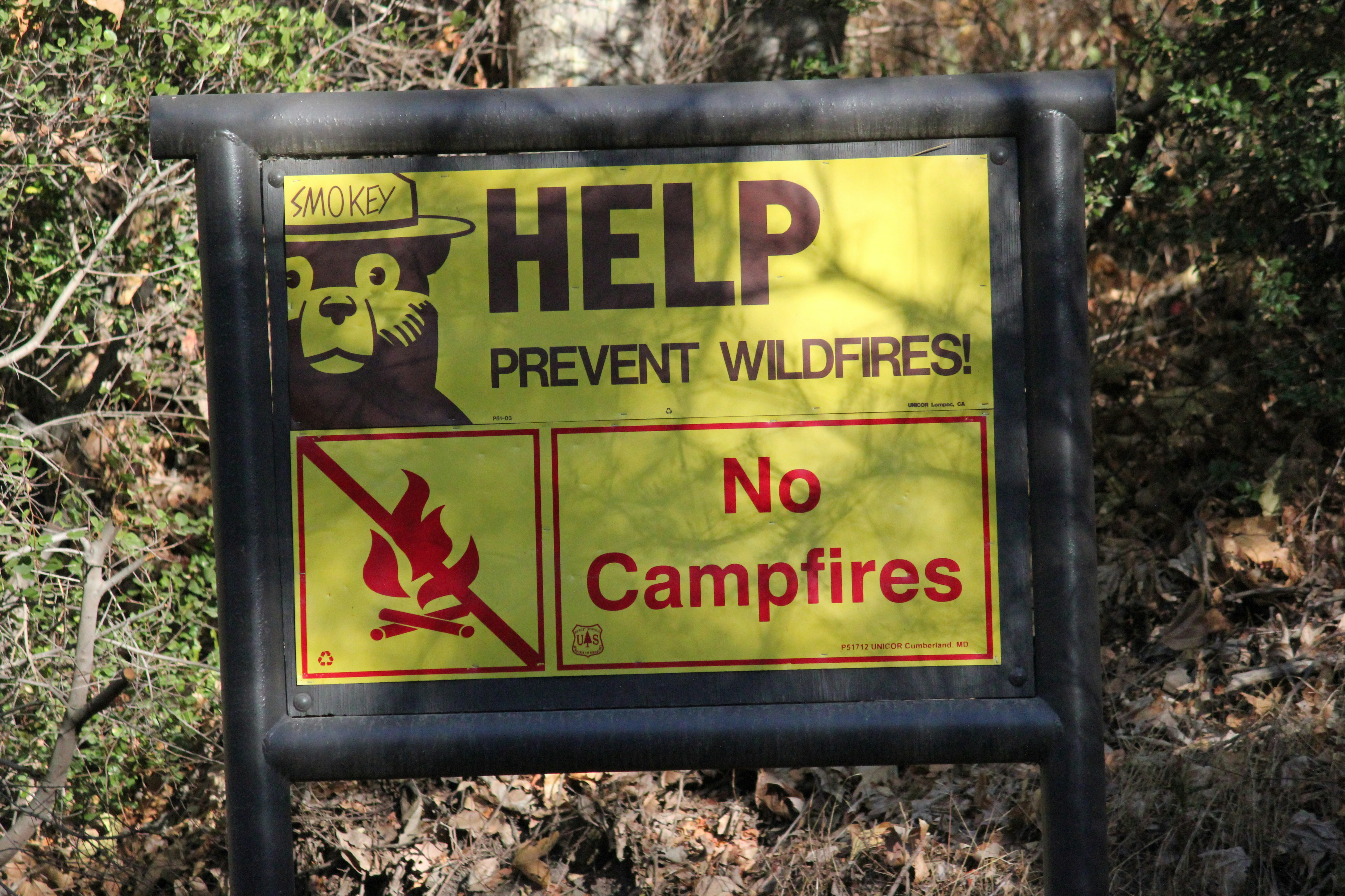 A sign that is in front of some trees (Photo by Frolicsome Fairy on Unsplash)