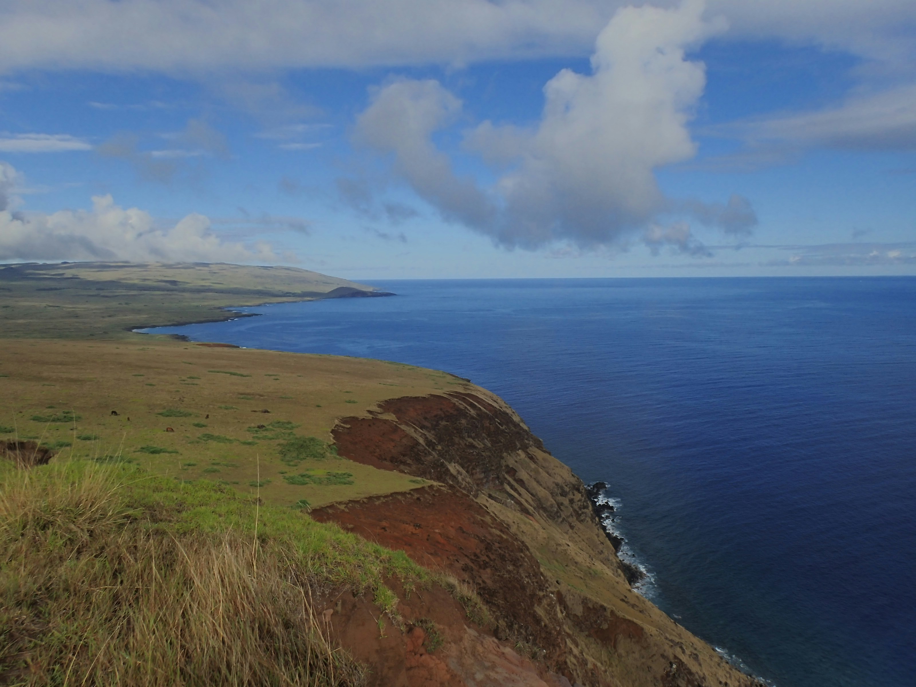 Photo by thiagorobert