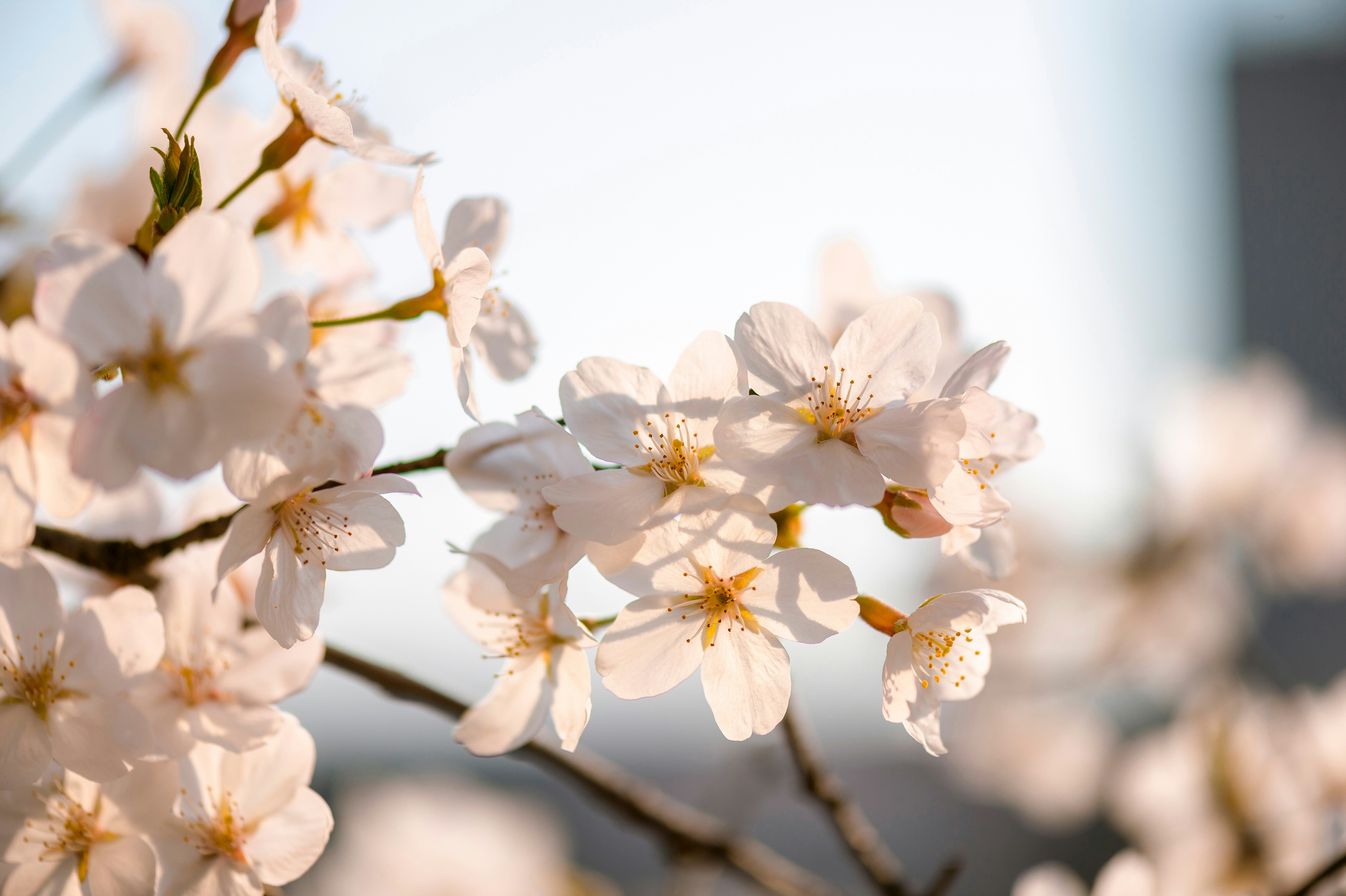 Photo by amuro_kazuhiko