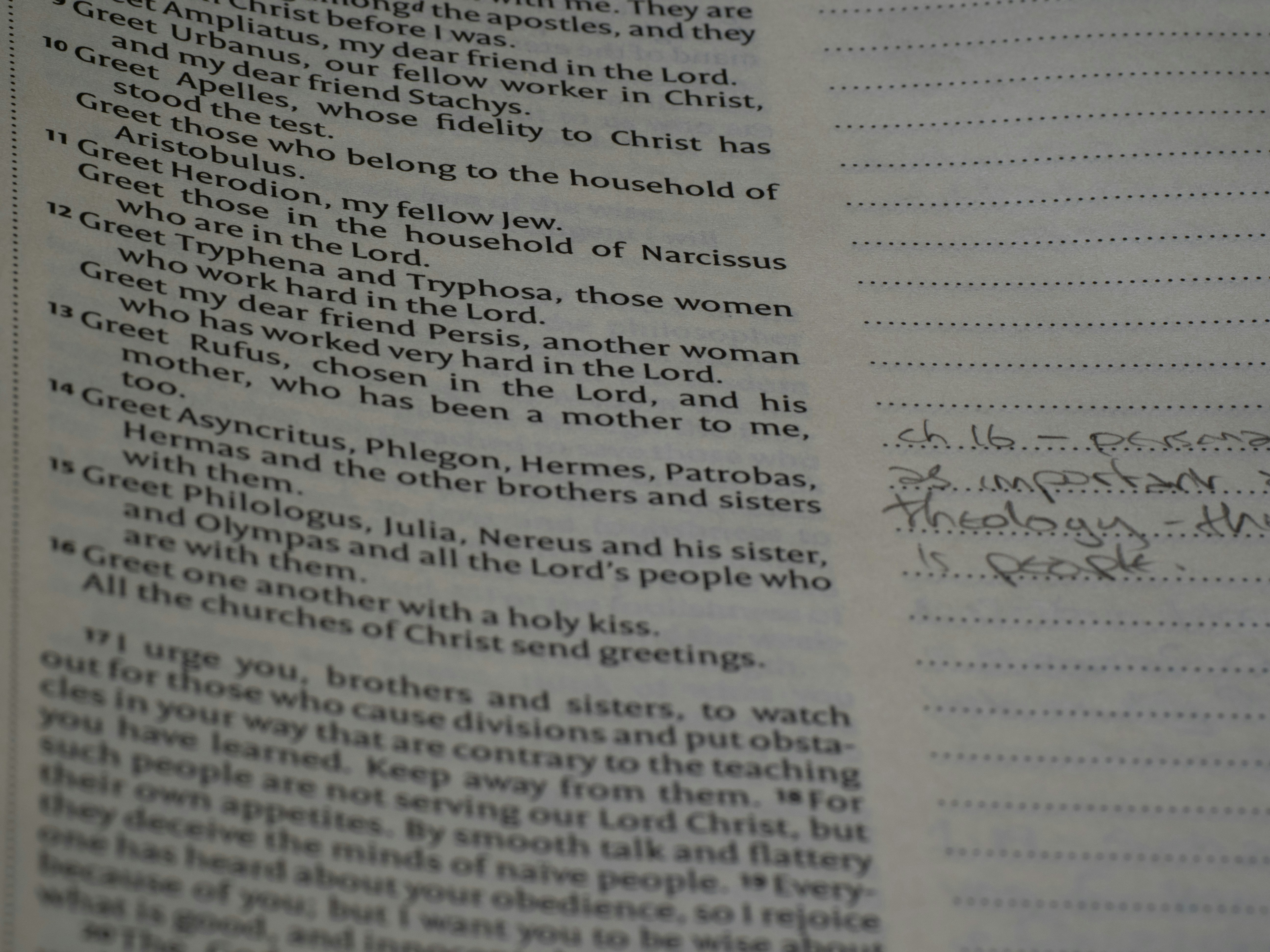 Photo by brett_jordan