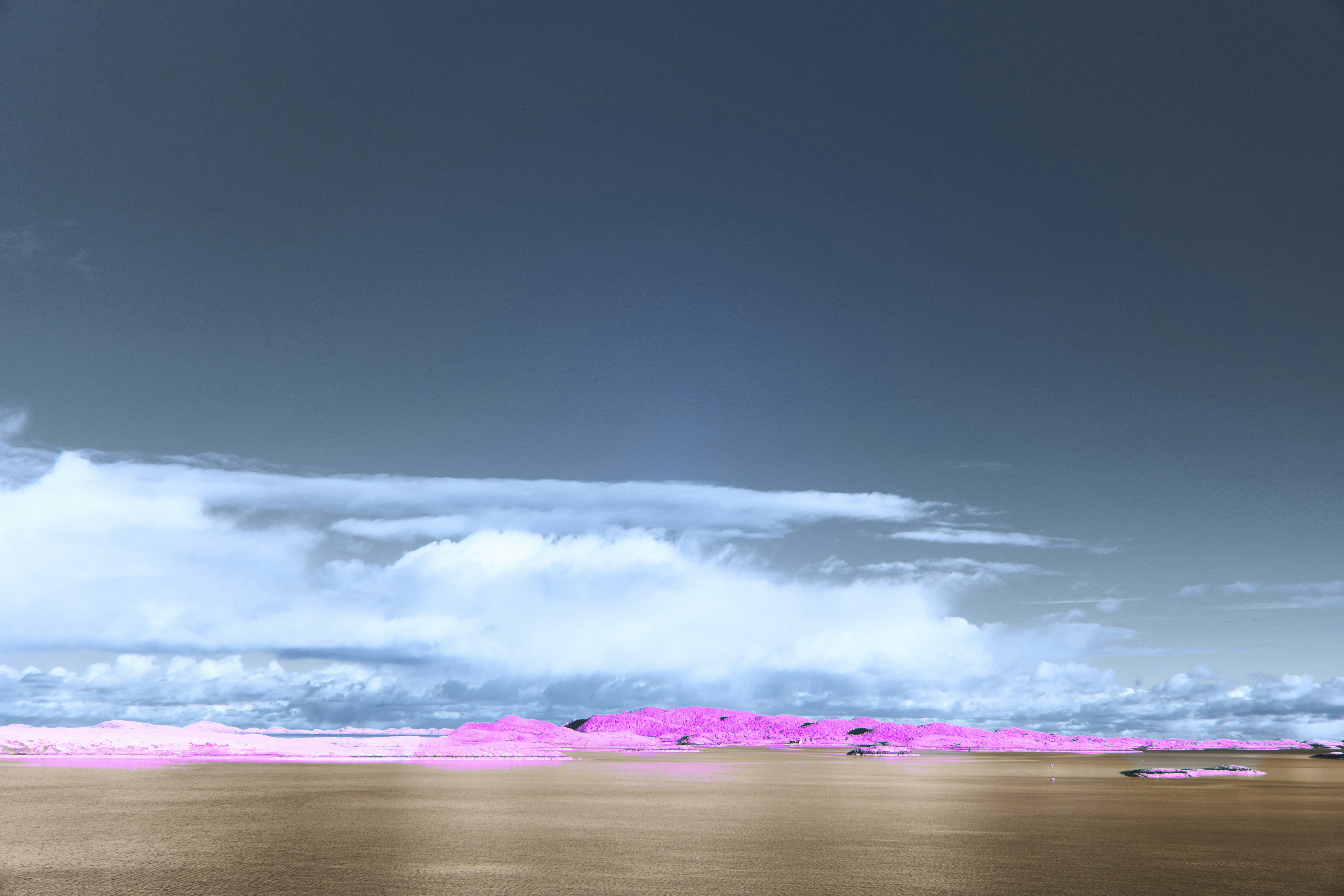 Photo by wolfgang_hasselmann