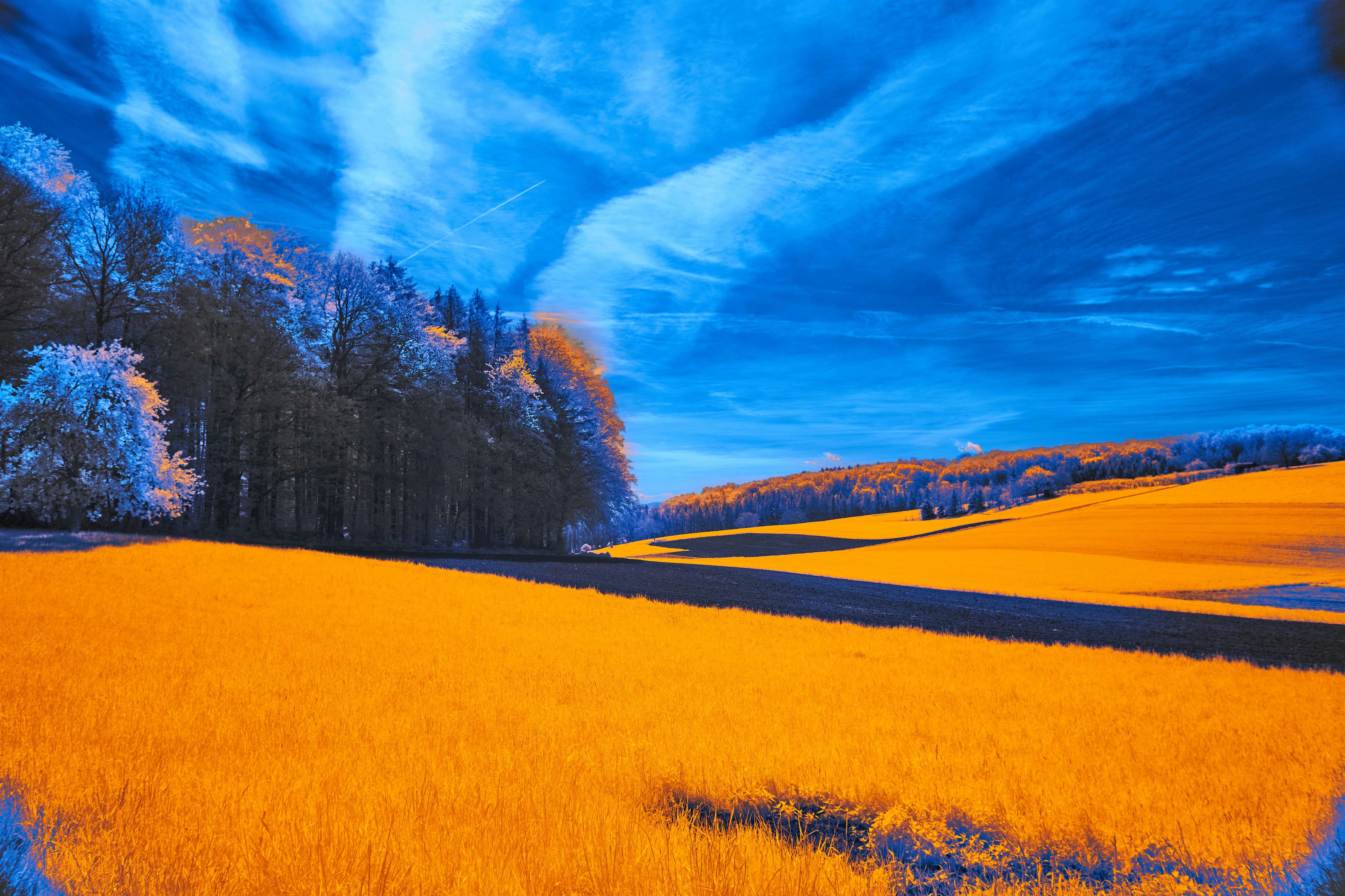 Photo by wolfgang_hasselmann