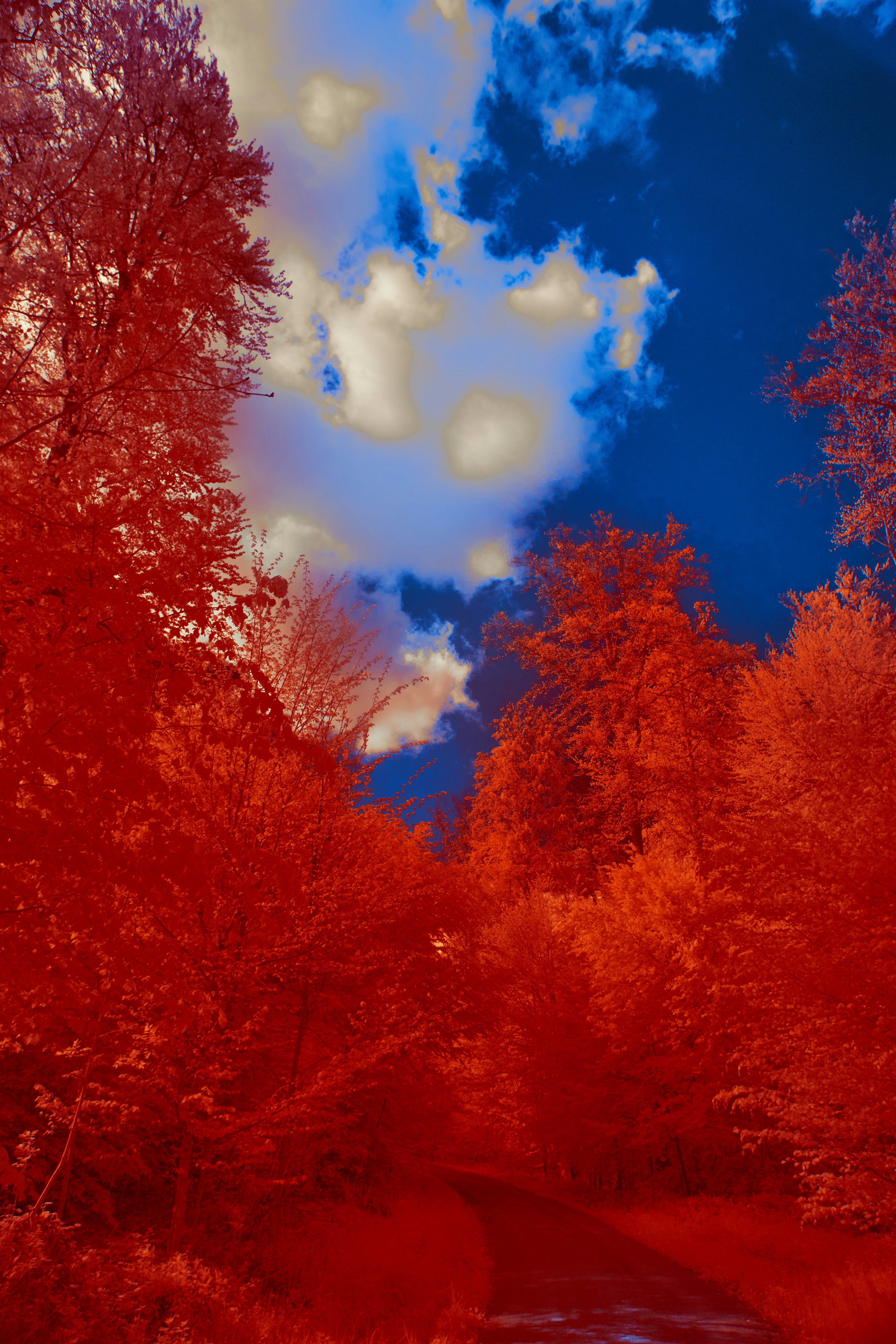 Photo by wolfgang_hasselmann