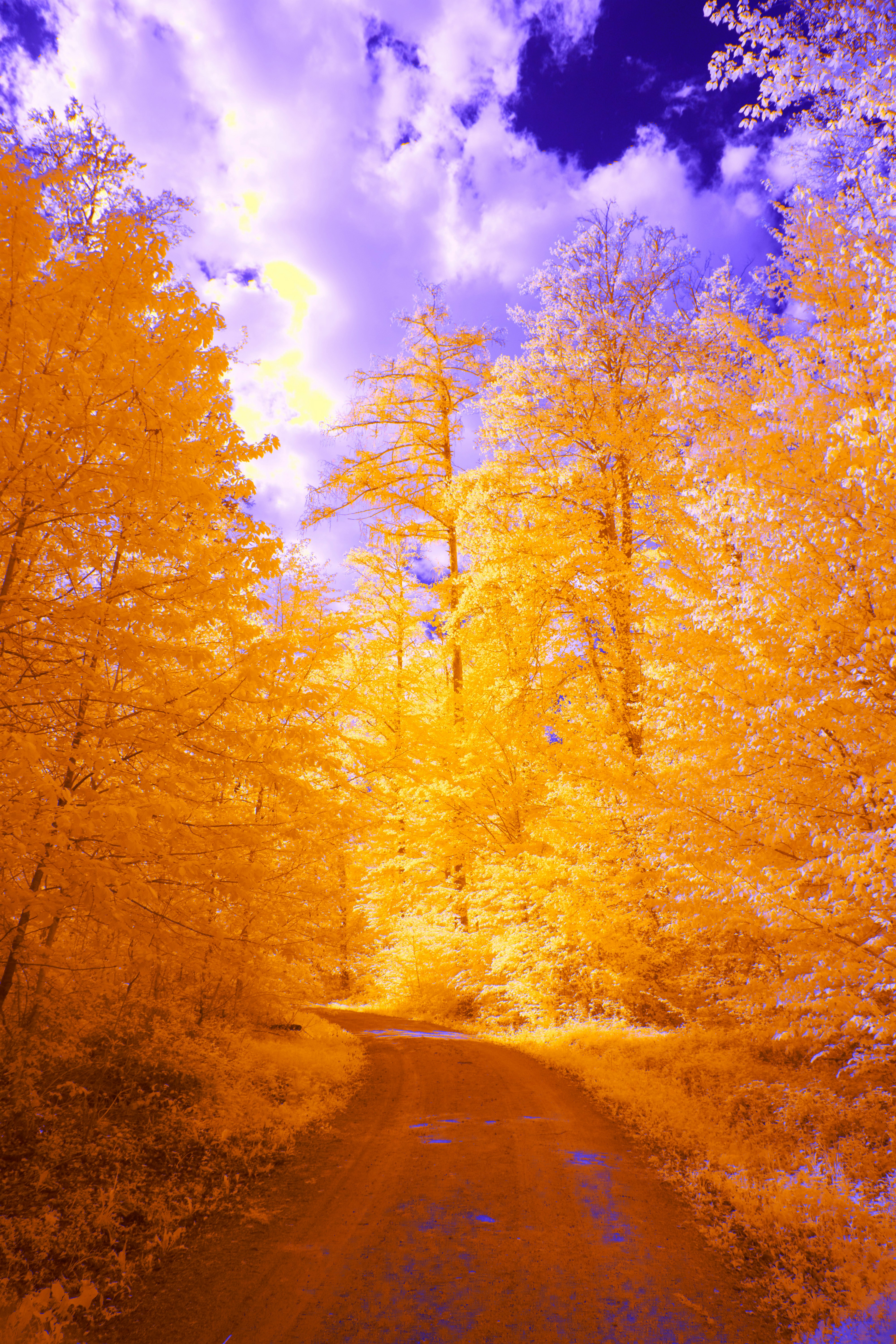 Photo by wolfgang_hasselmann