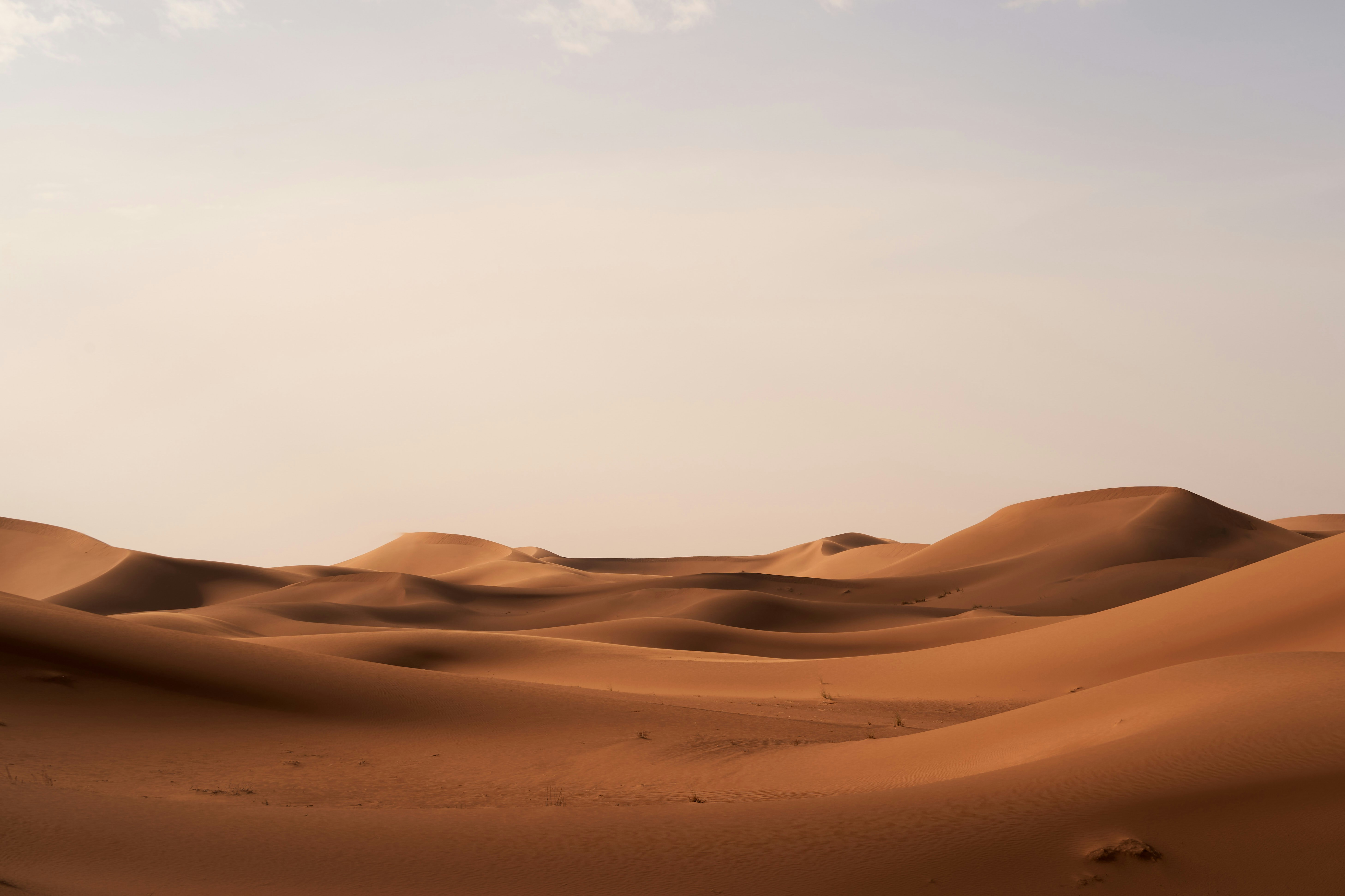 Photo by wolfgang_hasselmann