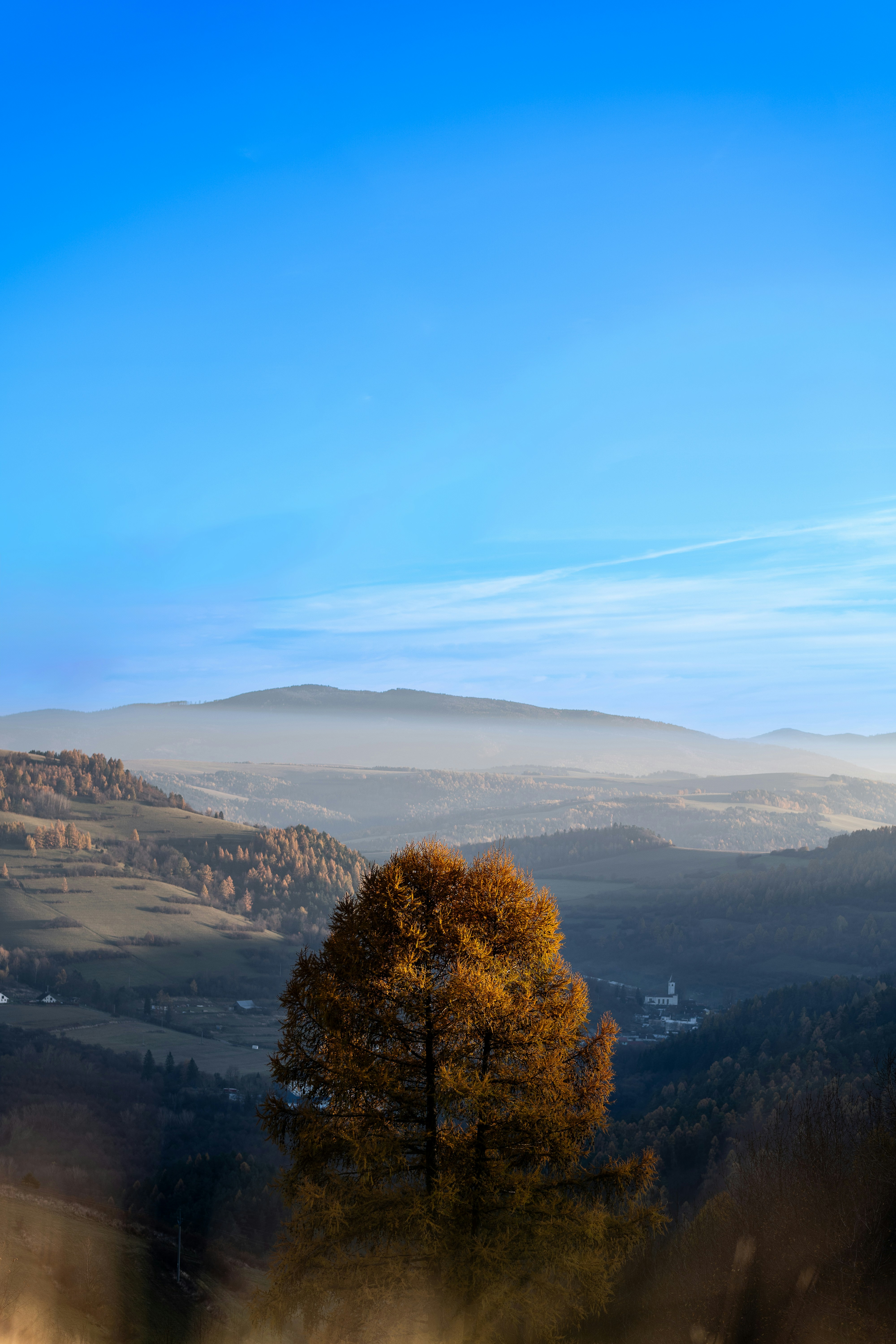 Photo by lukasparnican