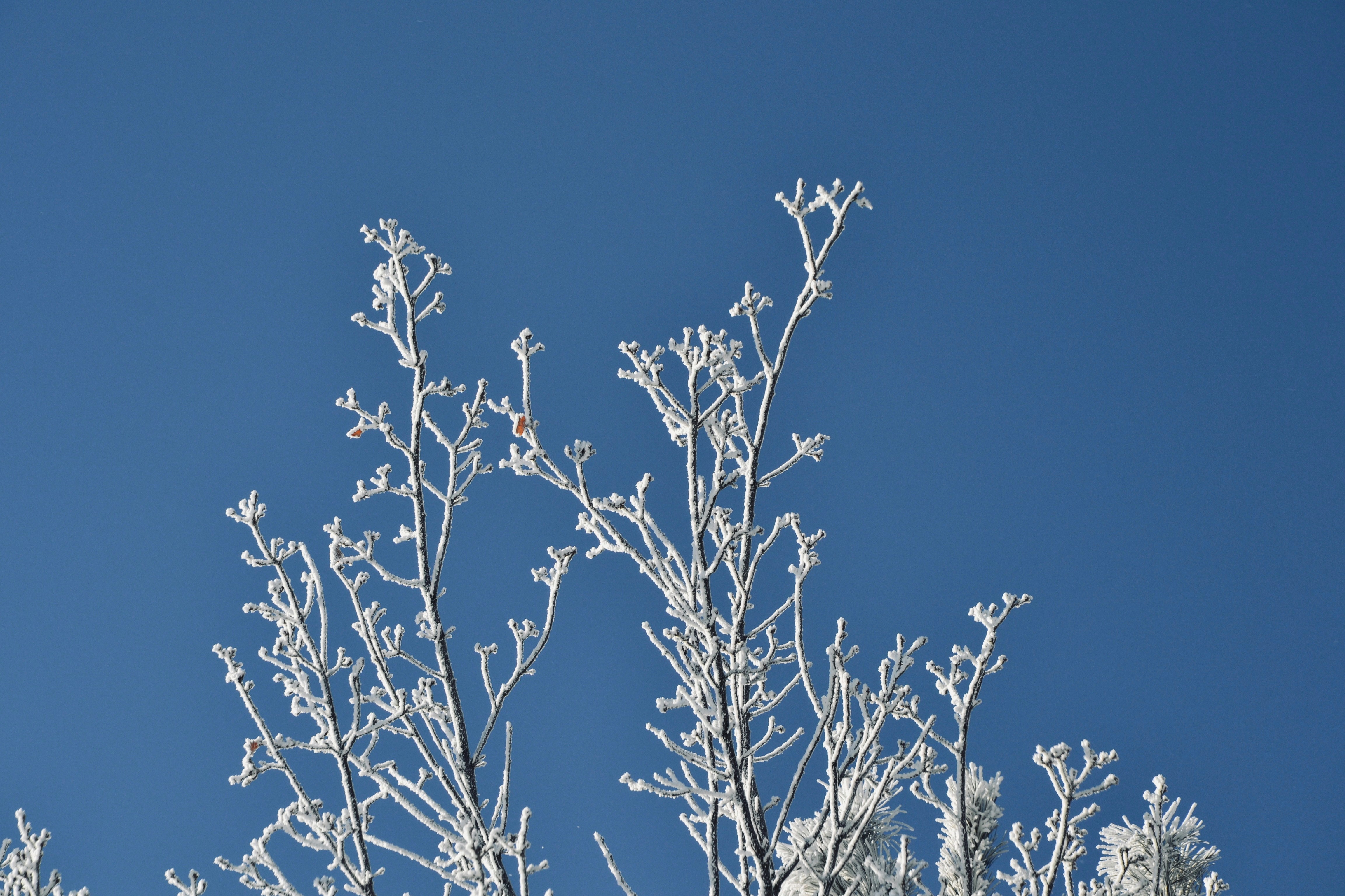 Photo by nastasya_slast