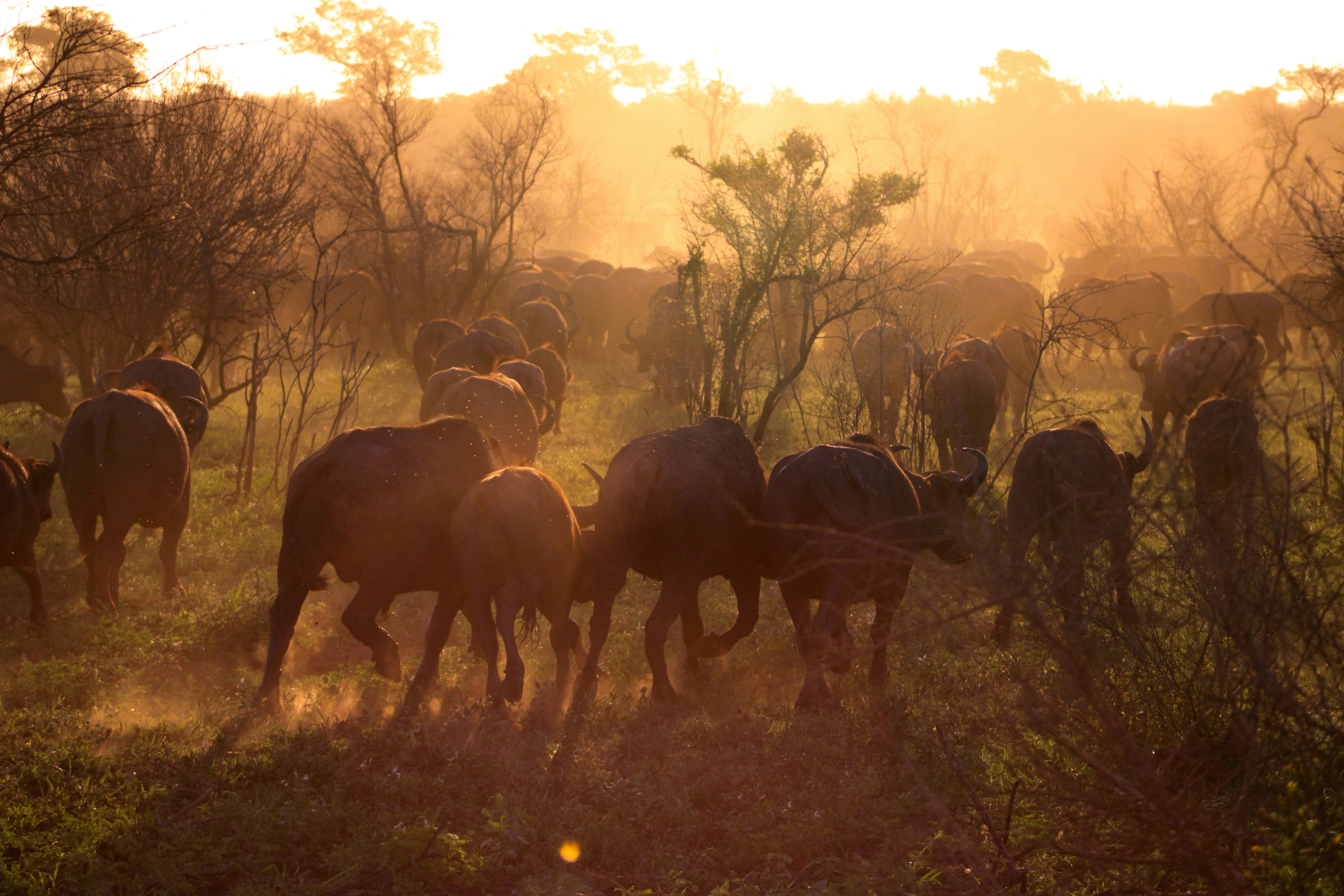 Photo by deborah_varrie