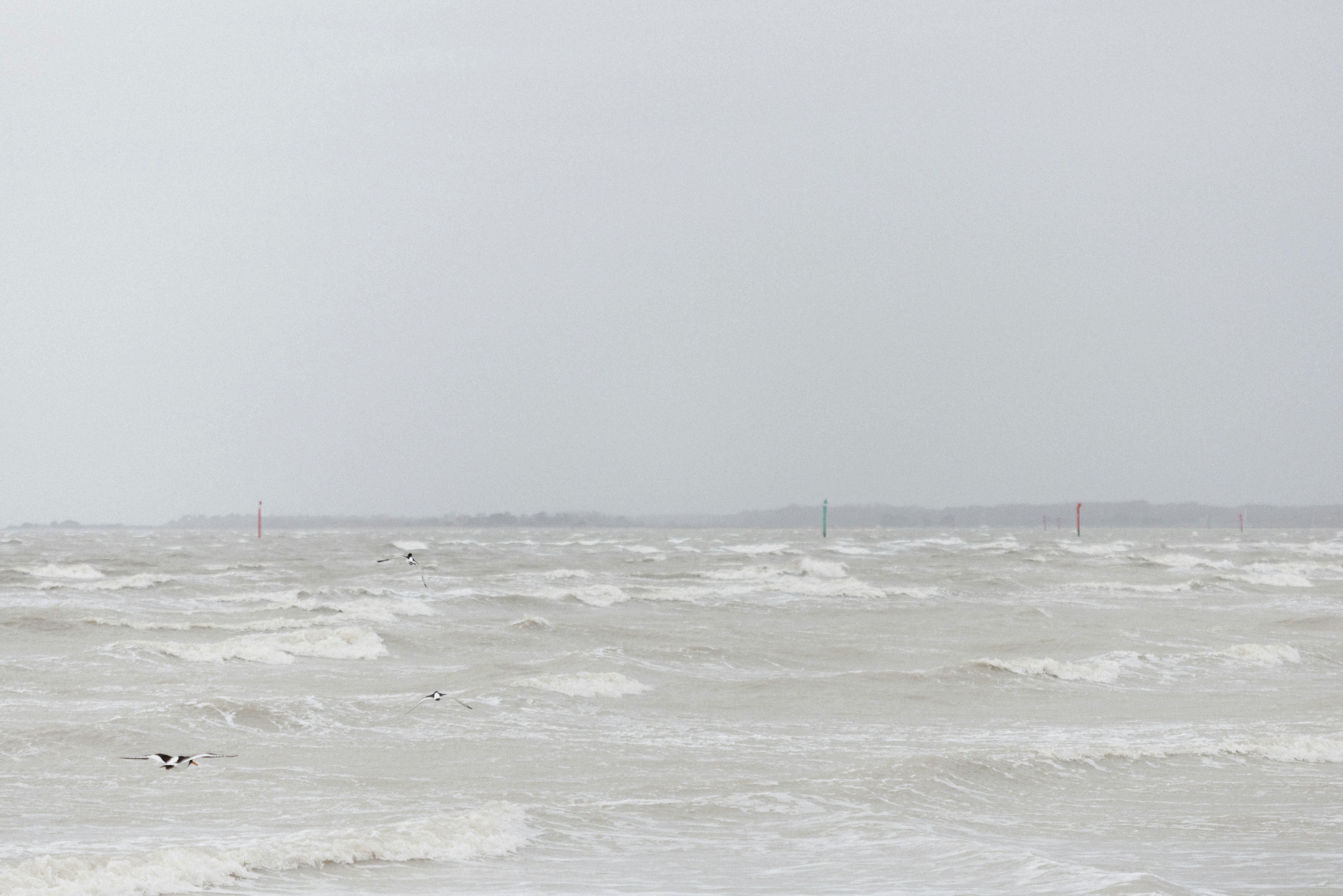 Photo by anniespratt