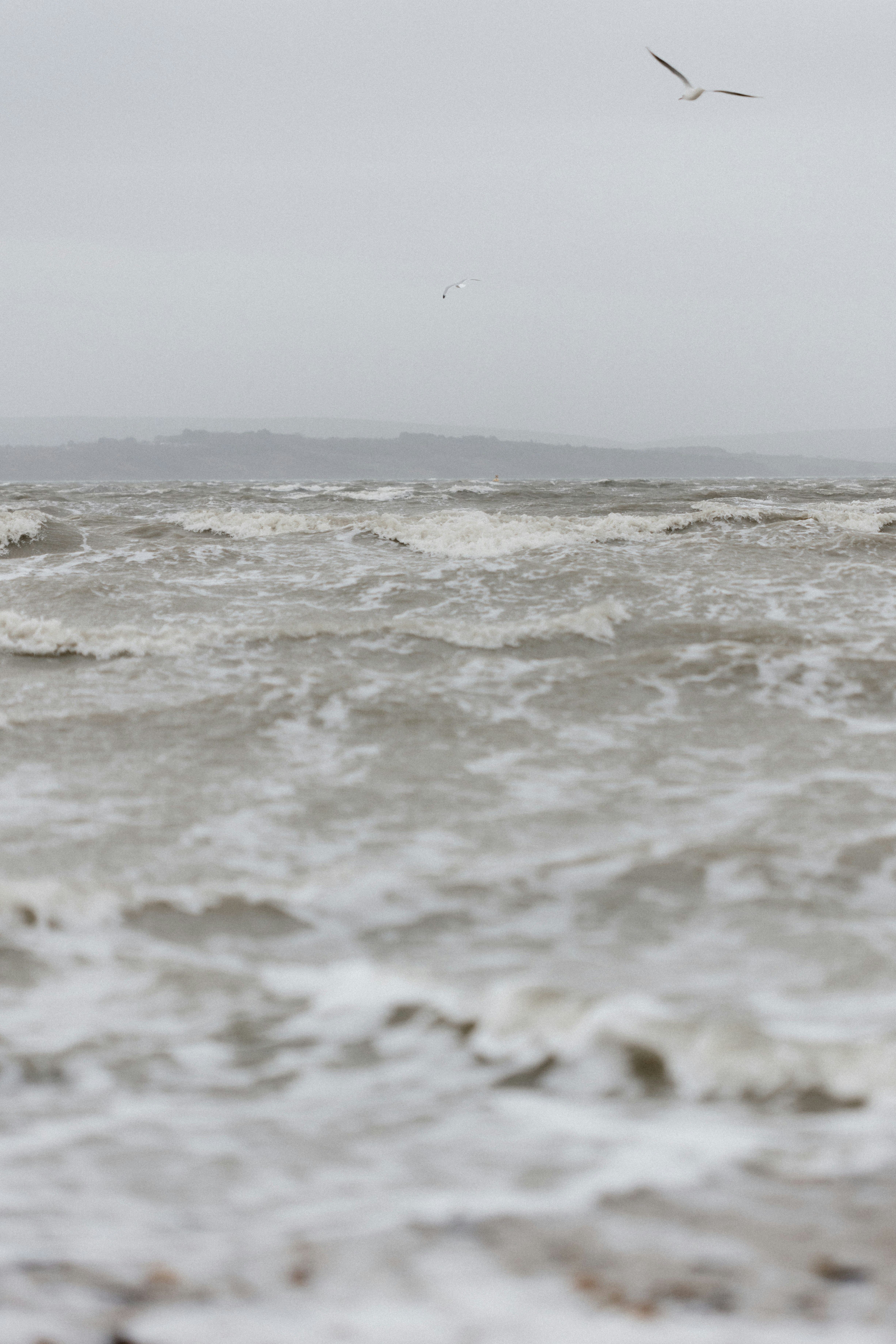 Photo by anniespratt