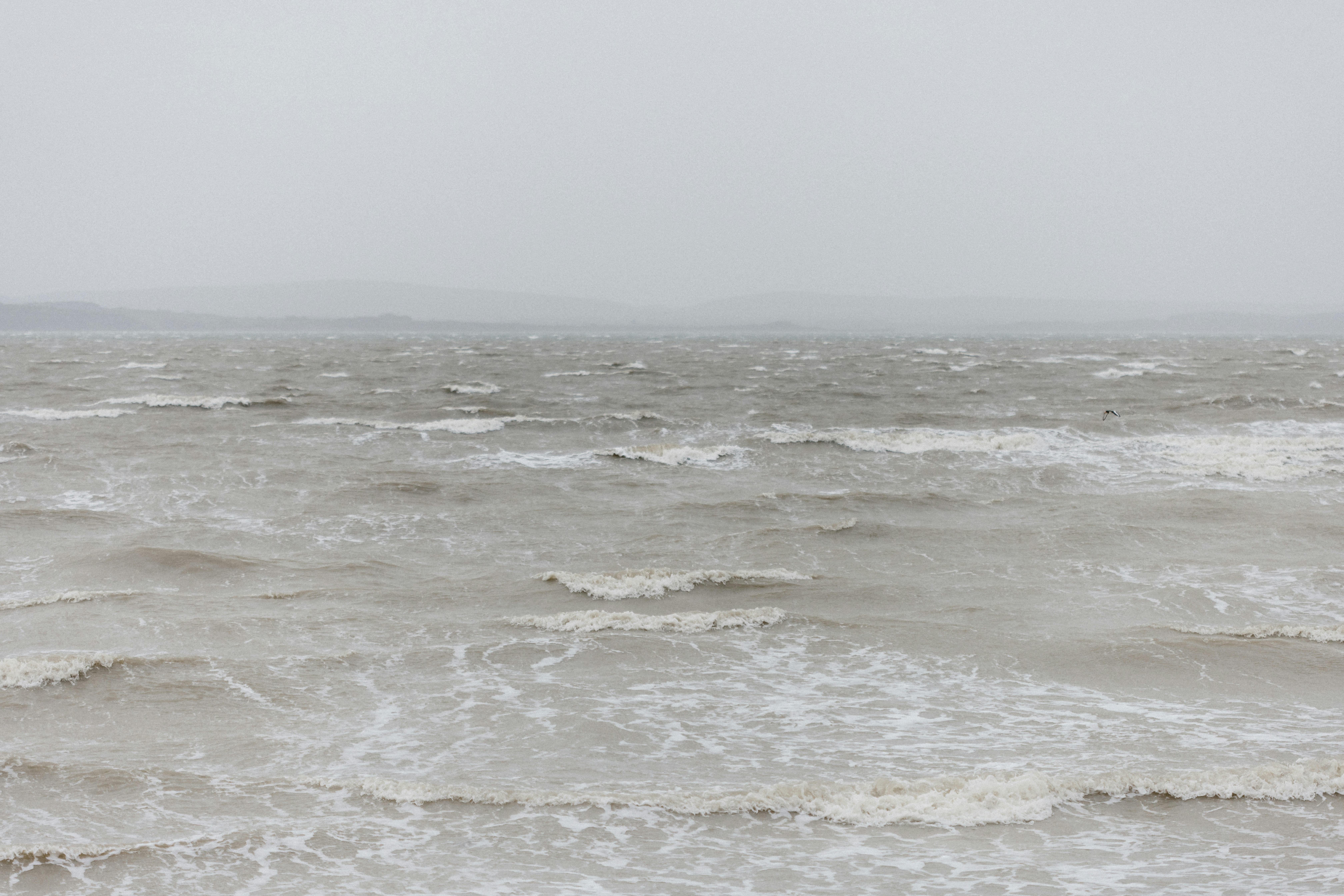 Photo by anniespratt