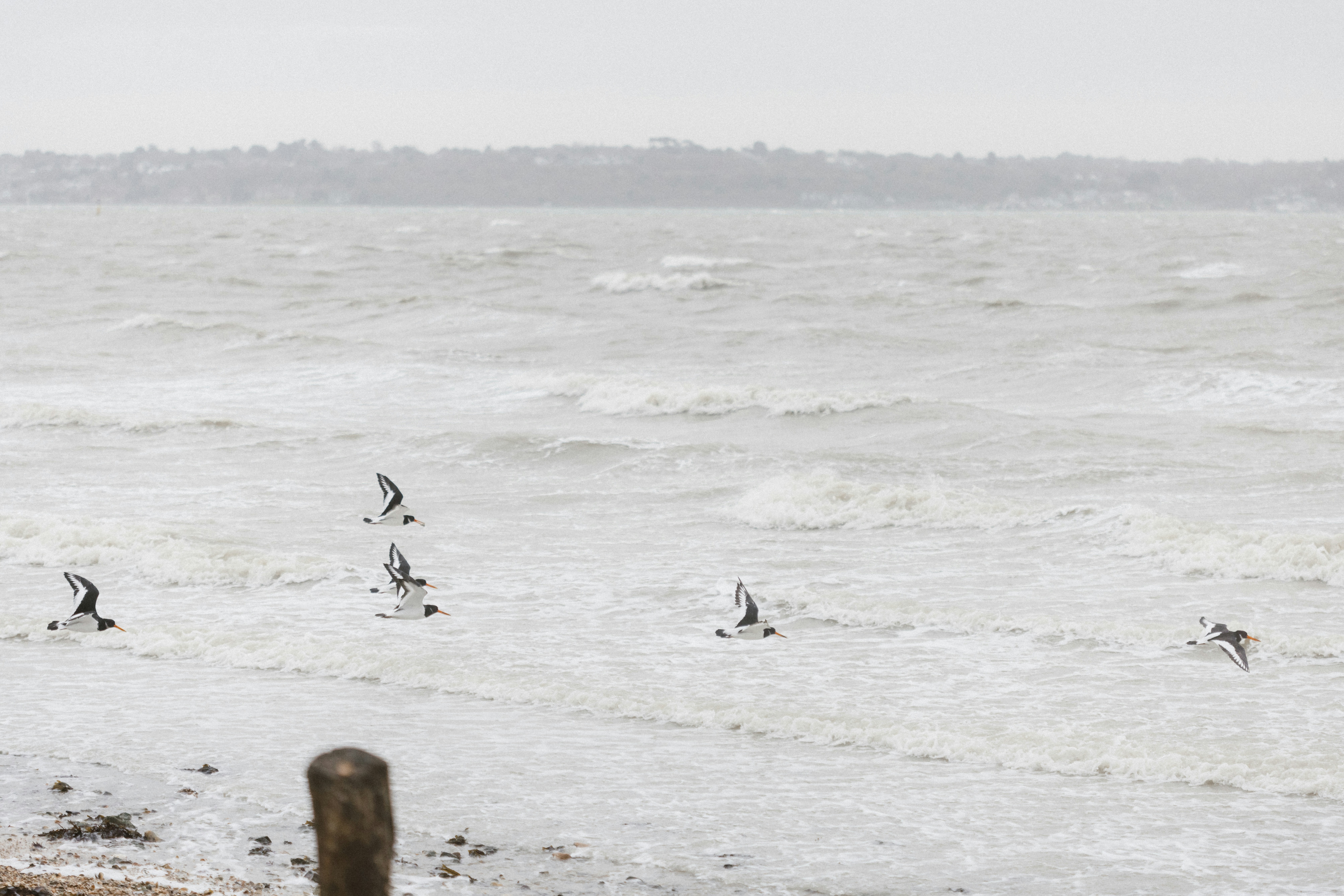 Photo by anniespratt