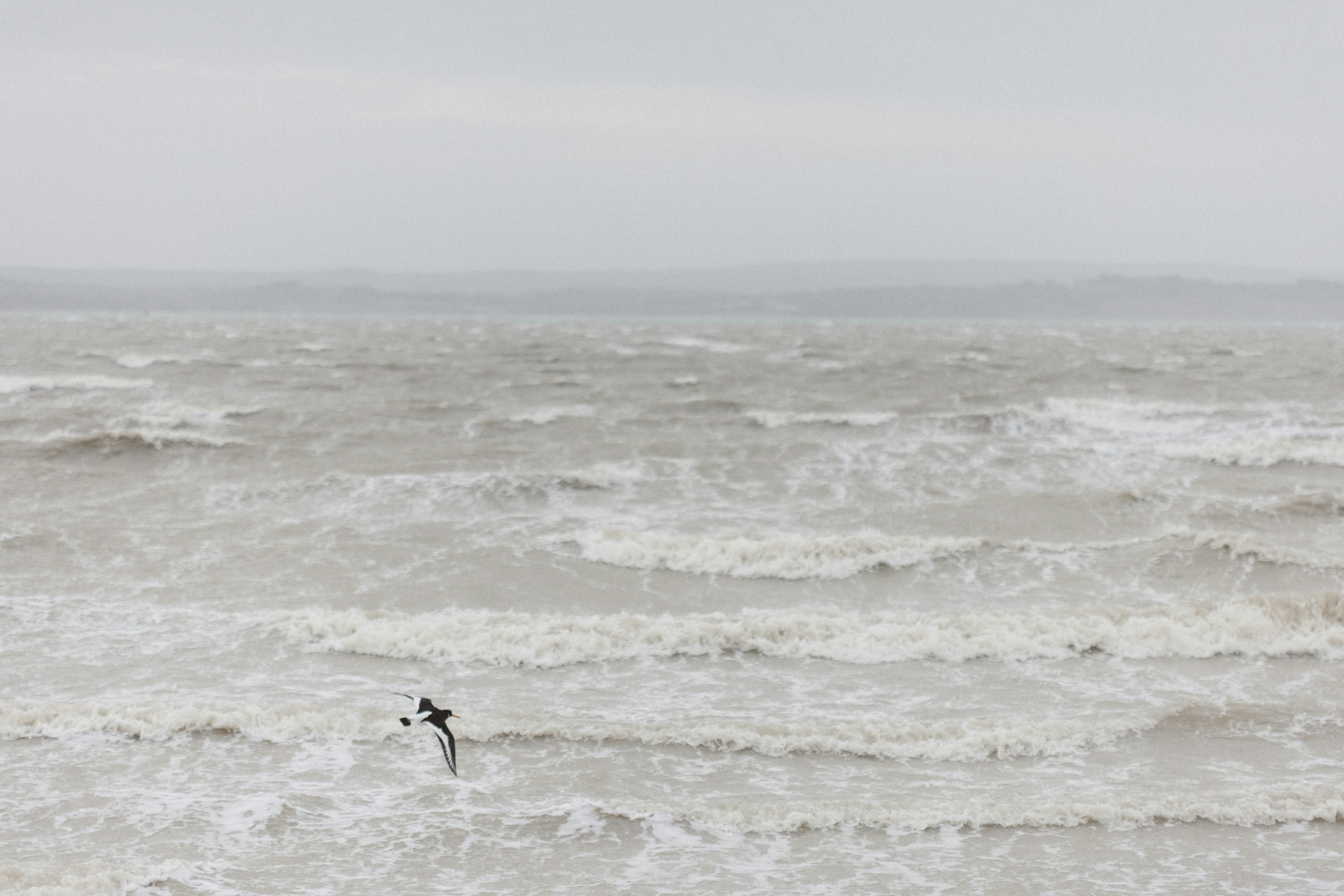 Photo by anniespratt