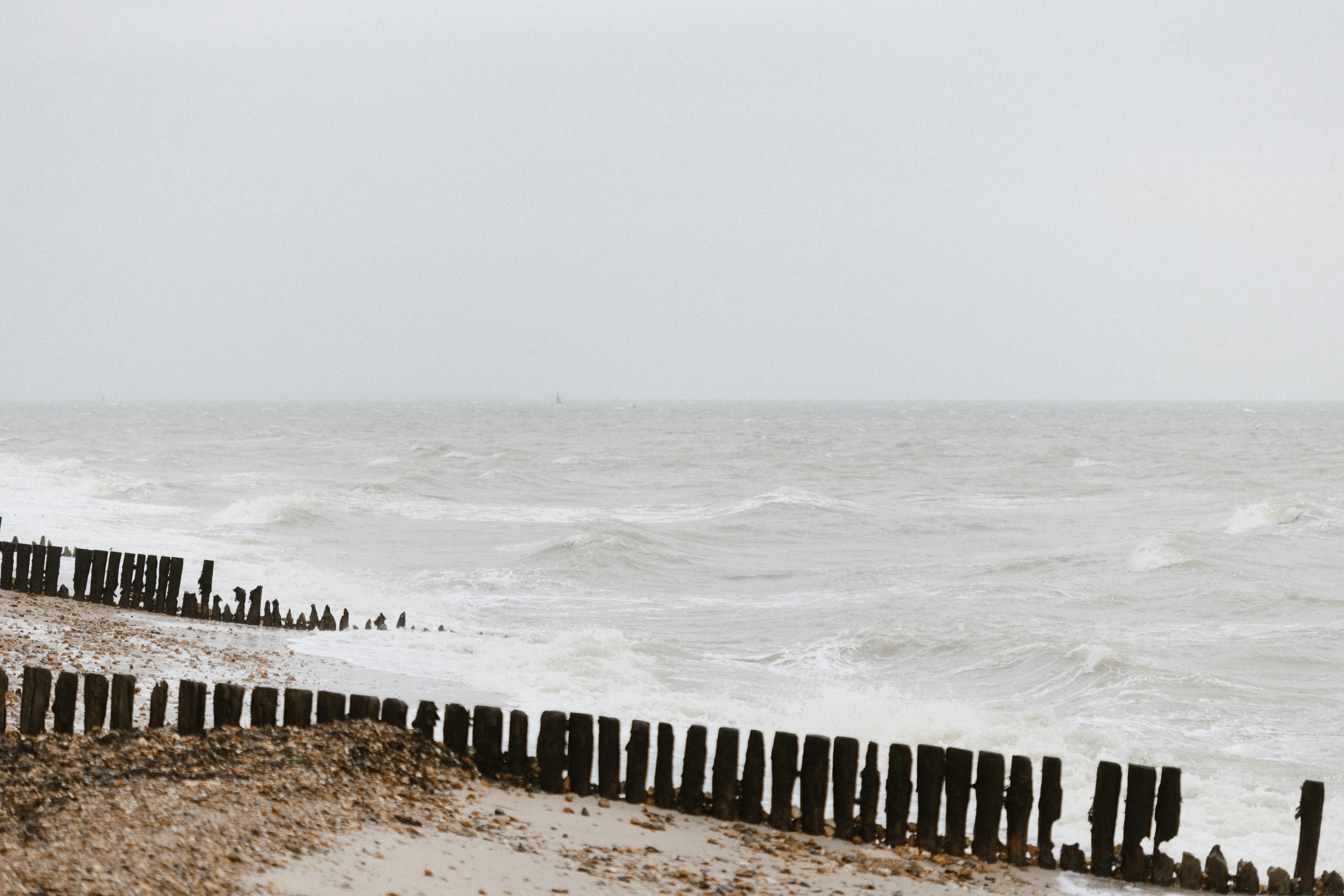 Photo by anniespratt