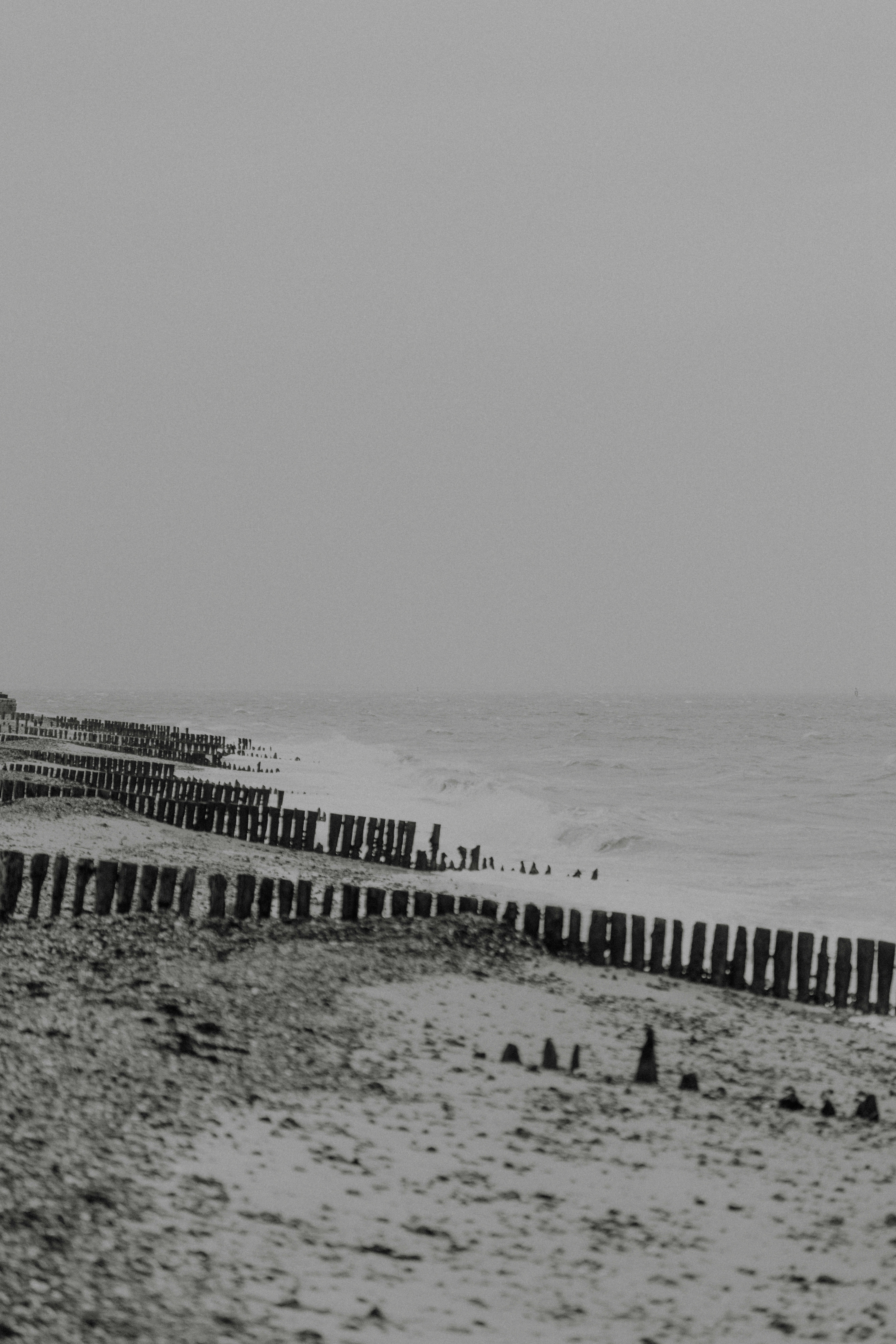 Photo by anniespratt