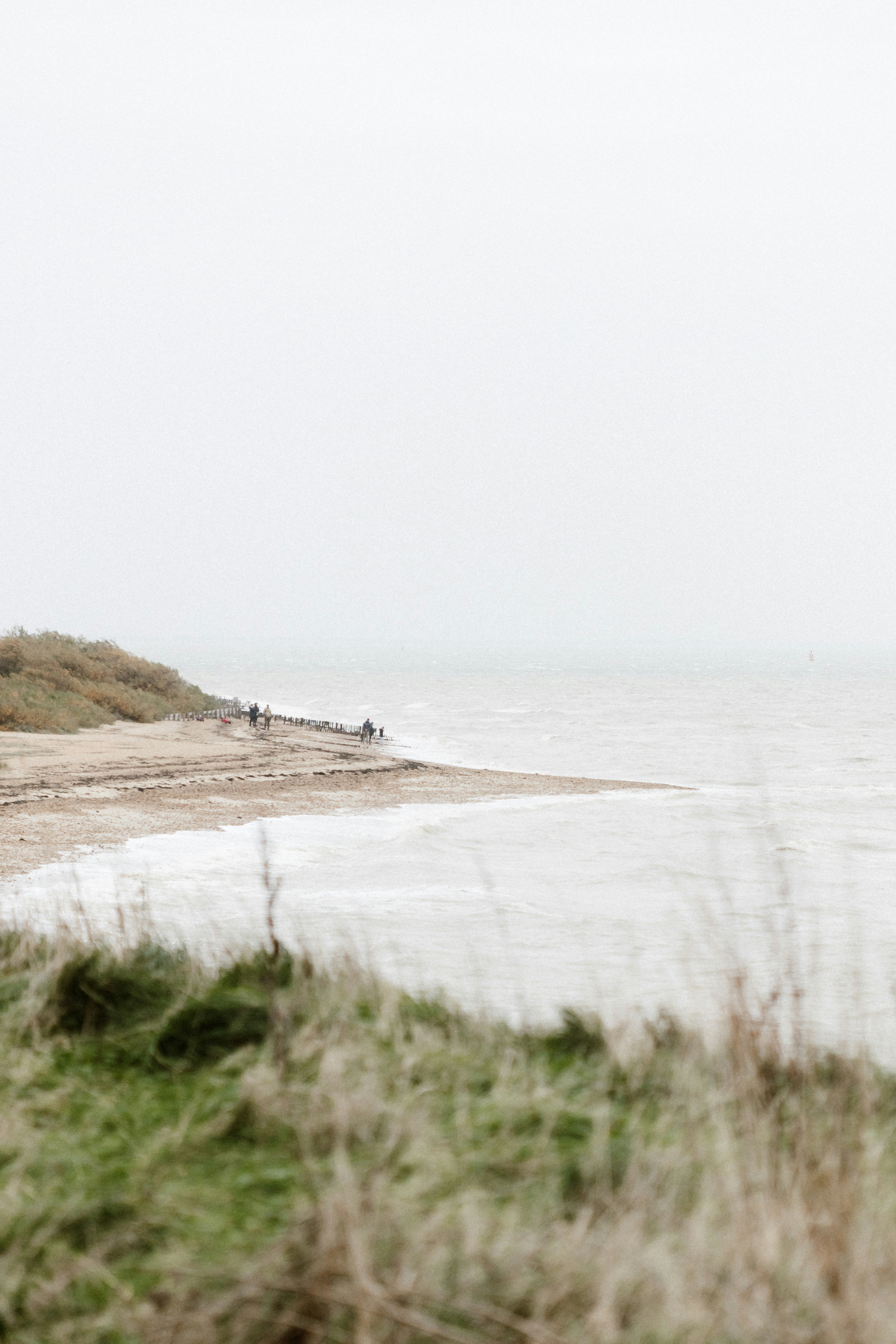 Photo by anniespratt