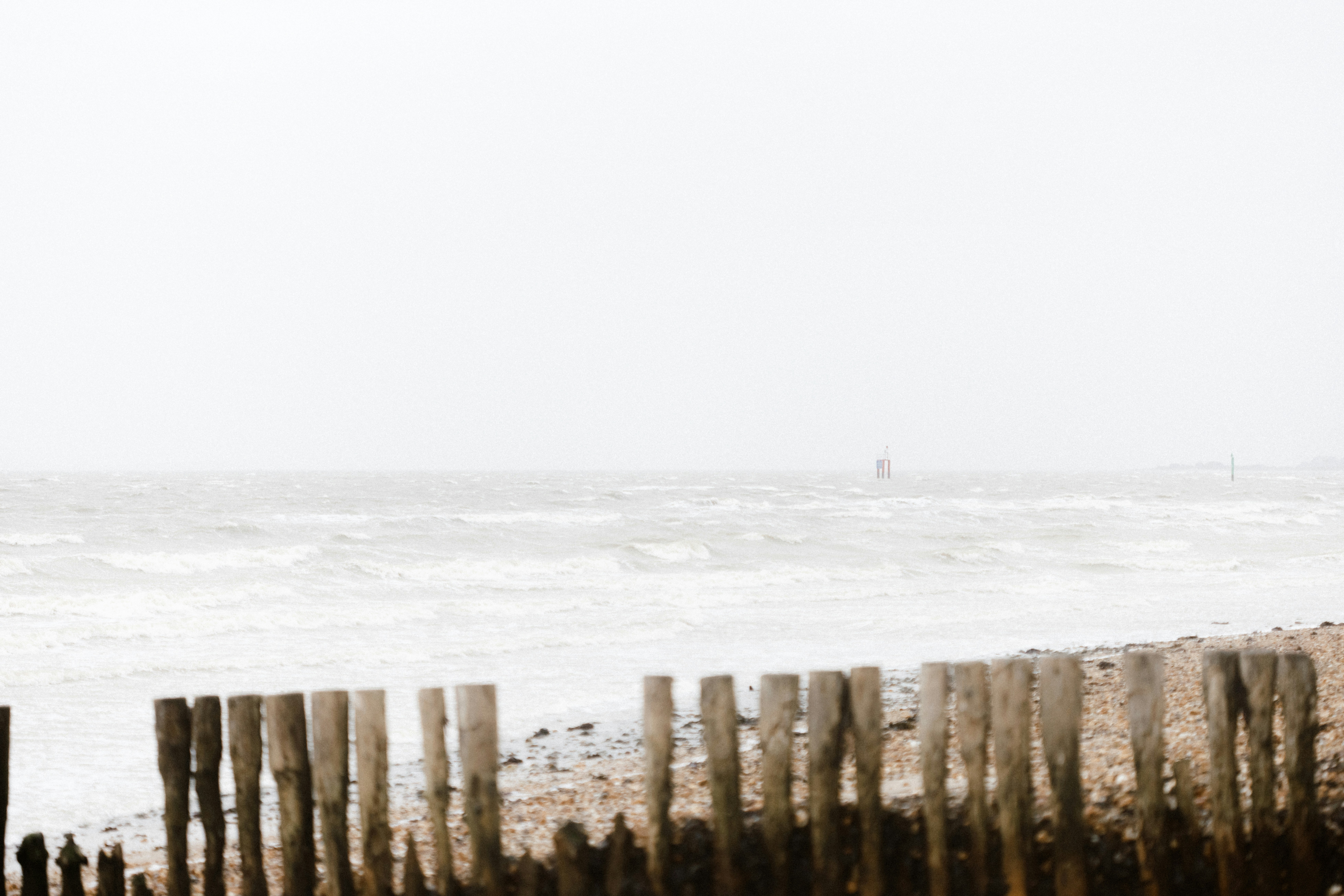 Photo by anniespratt