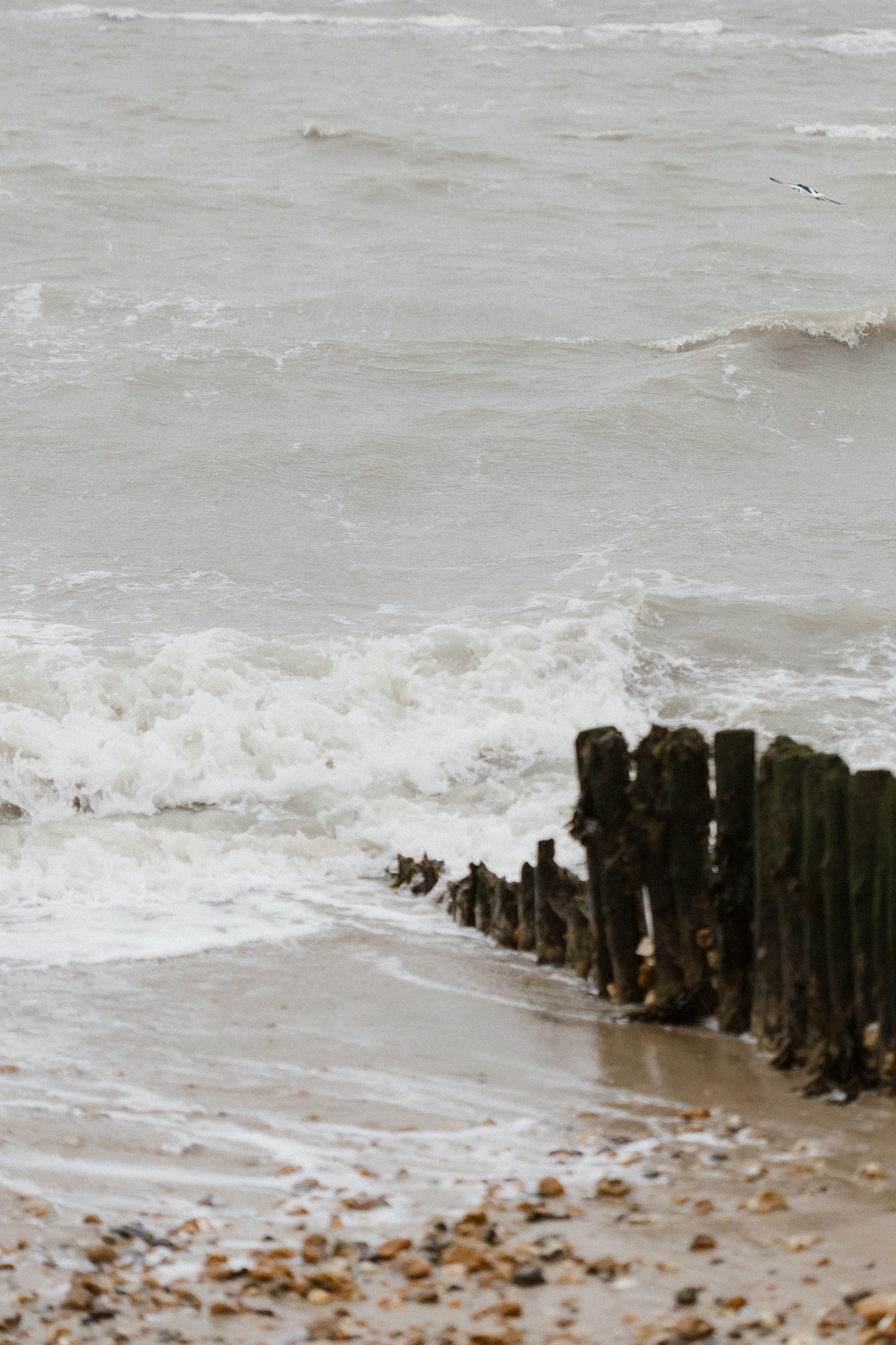 Photo by anniespratt