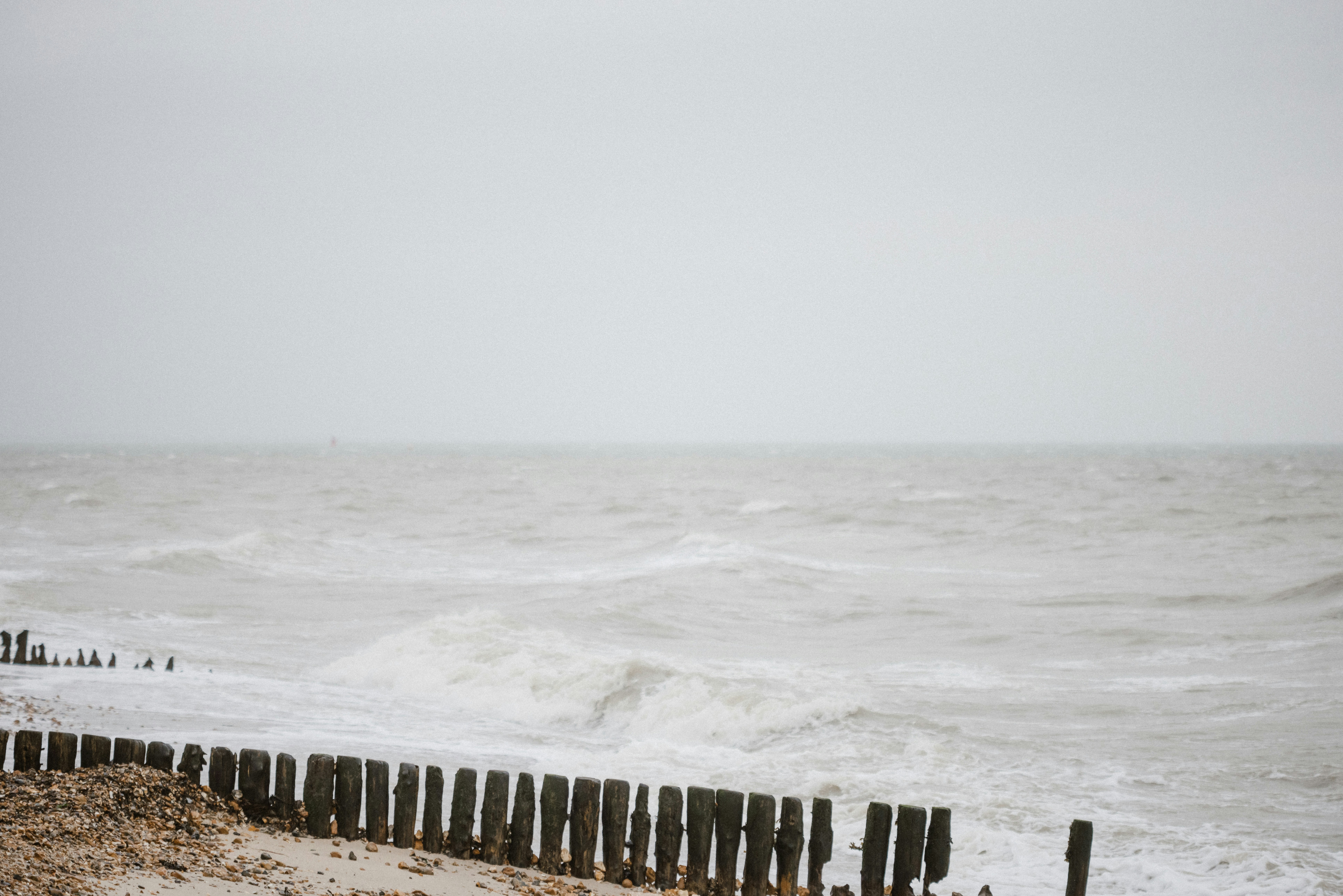 Photo by anniespratt