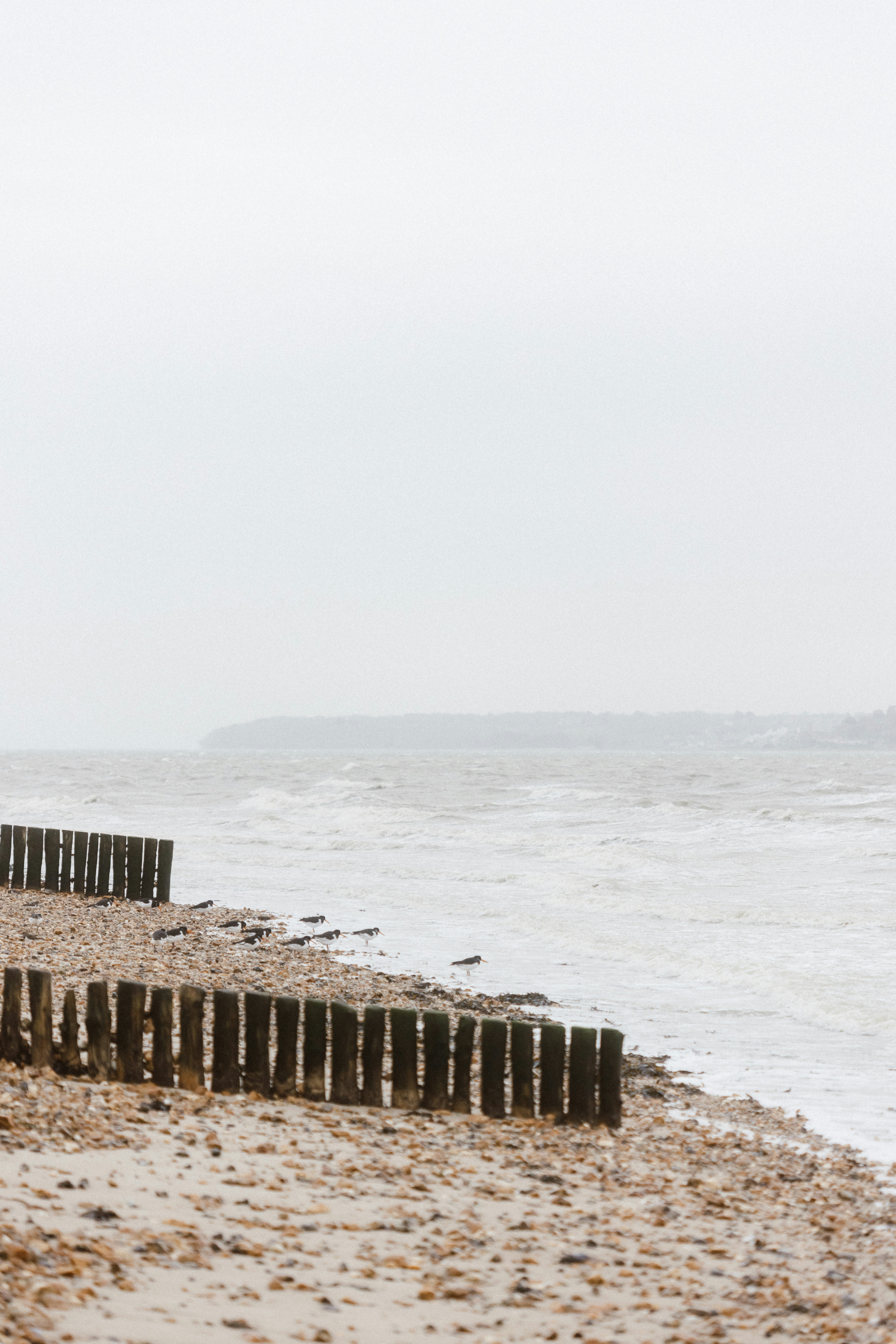 Photo by anniespratt