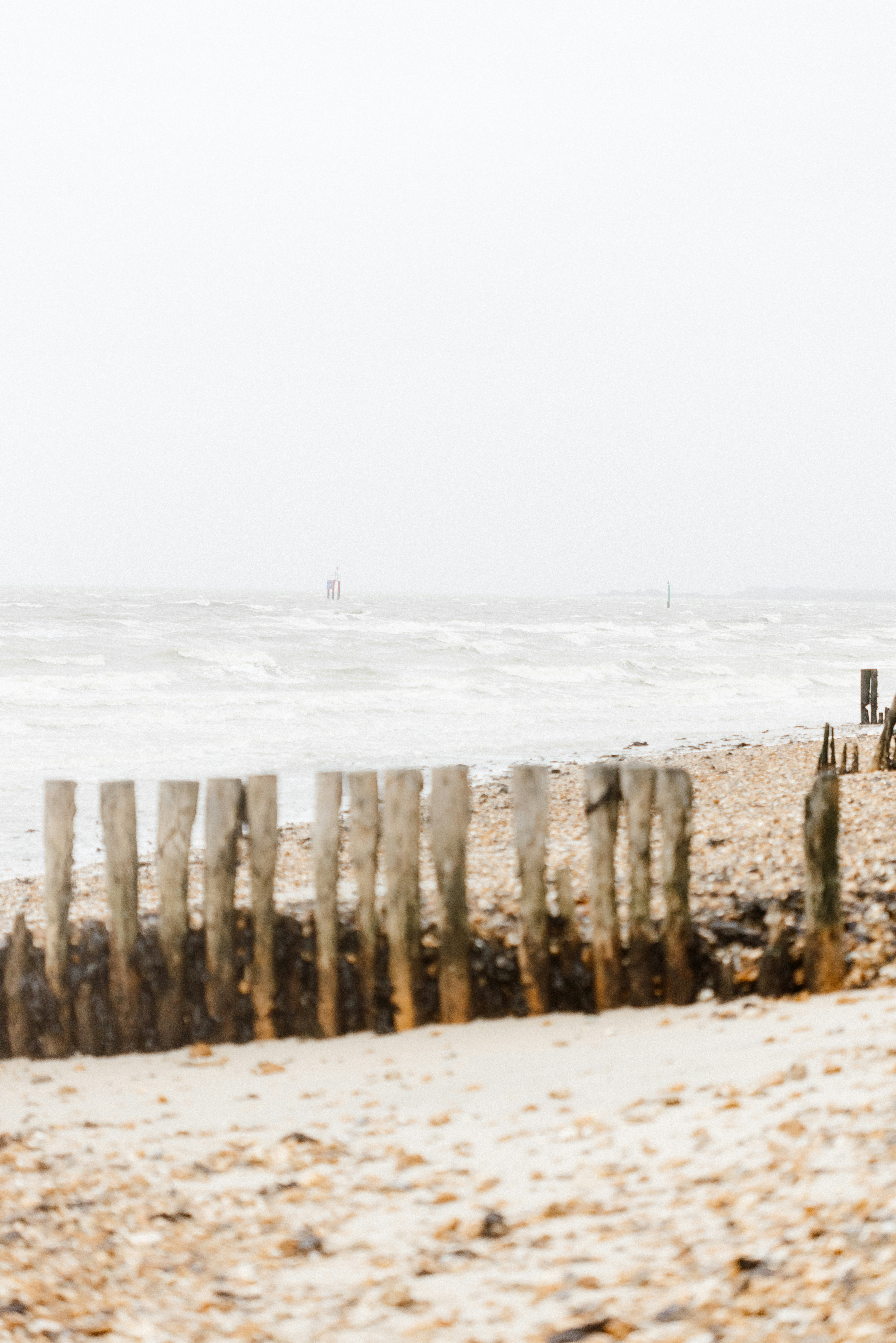 Photo by anniespratt