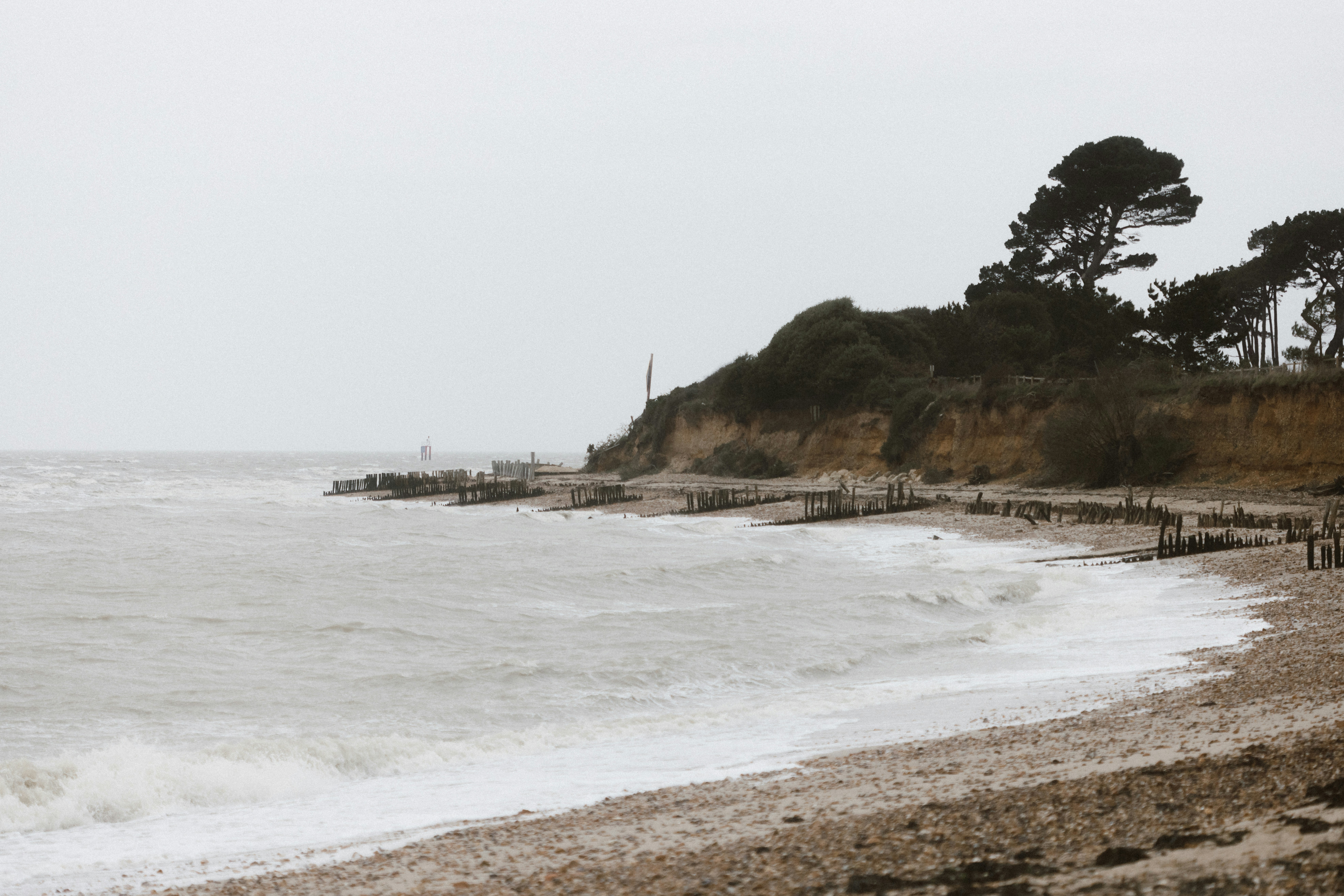 Photo by anniespratt