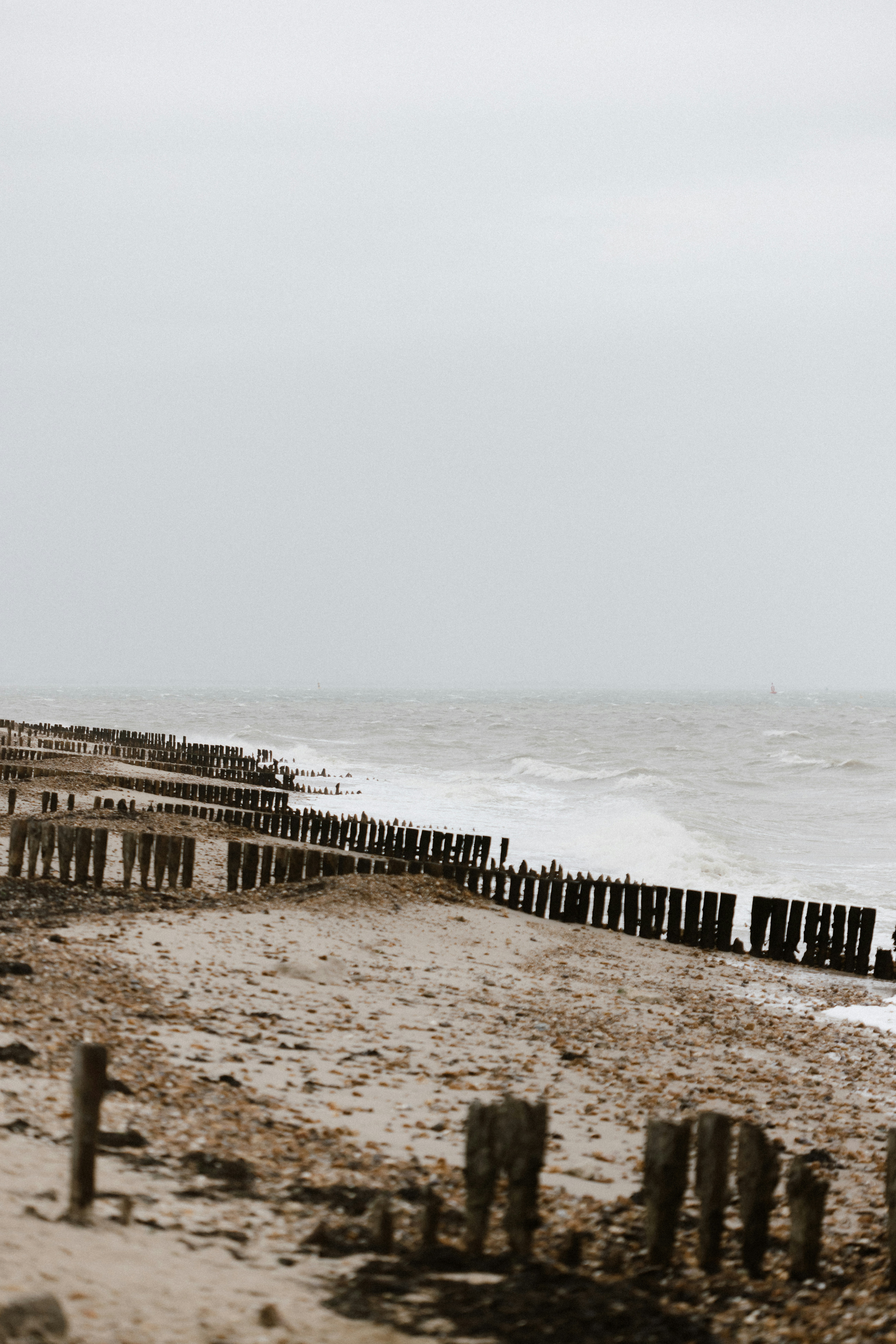 Photo by anniespratt