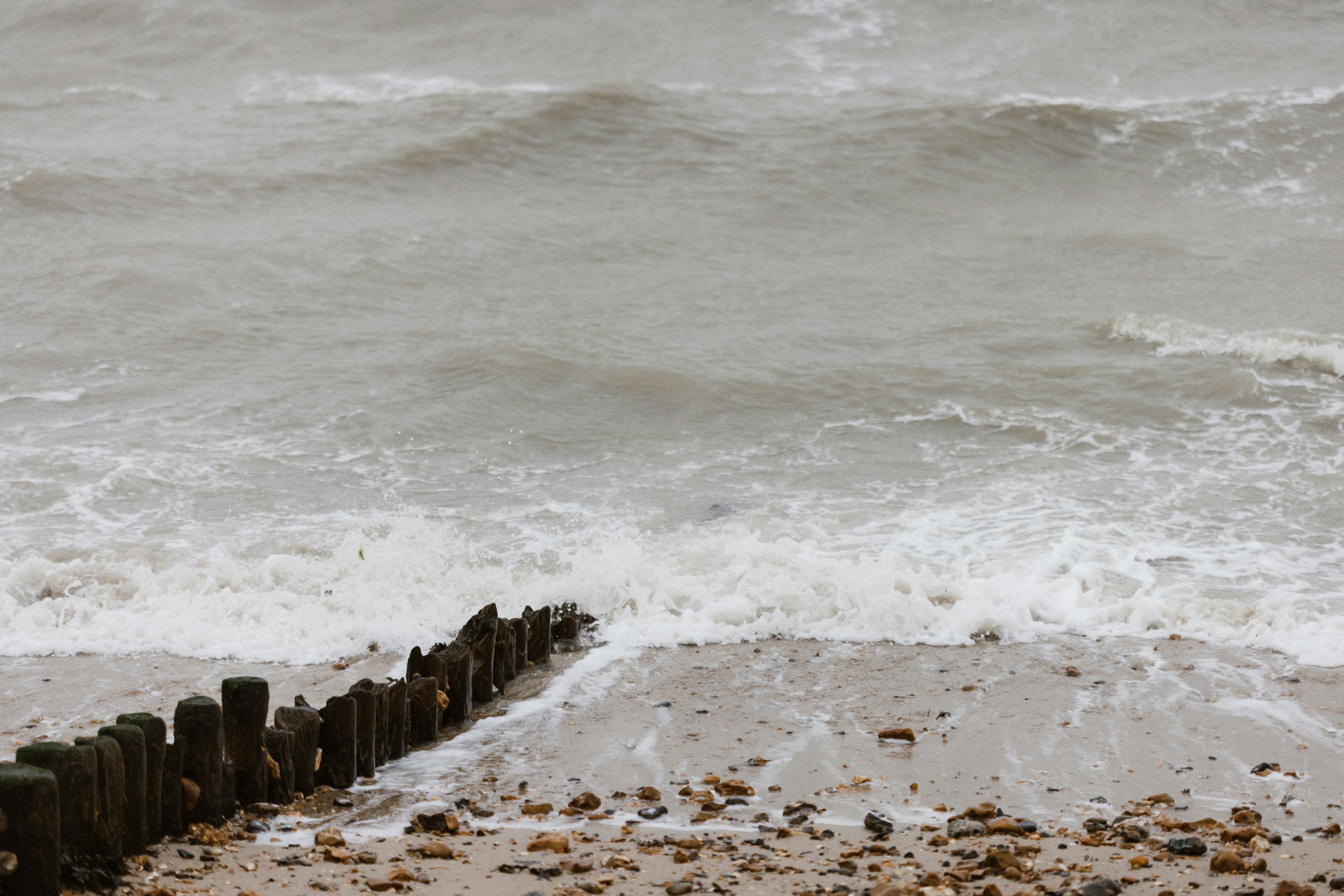 Photo by anniespratt