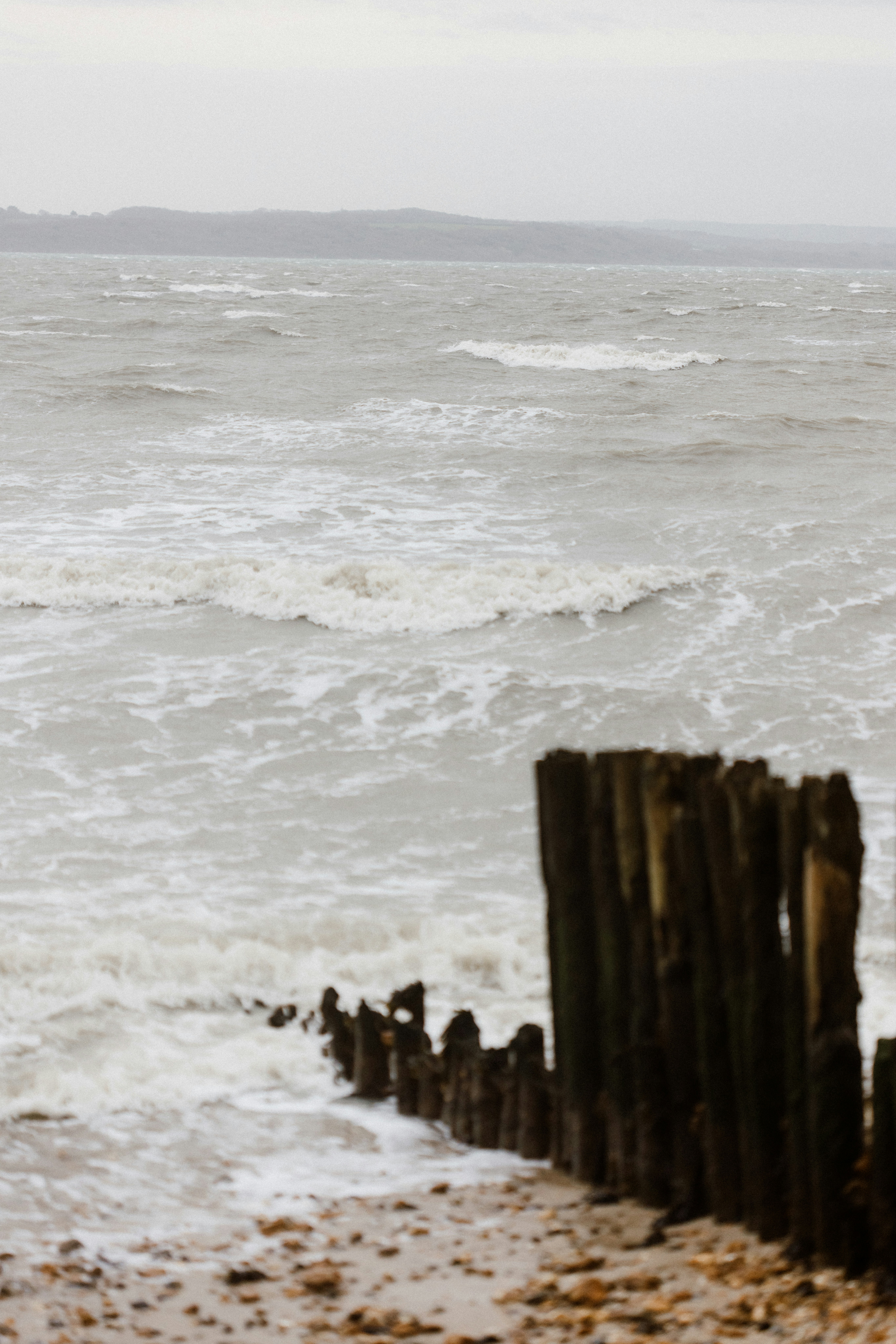 Photo by anniespratt