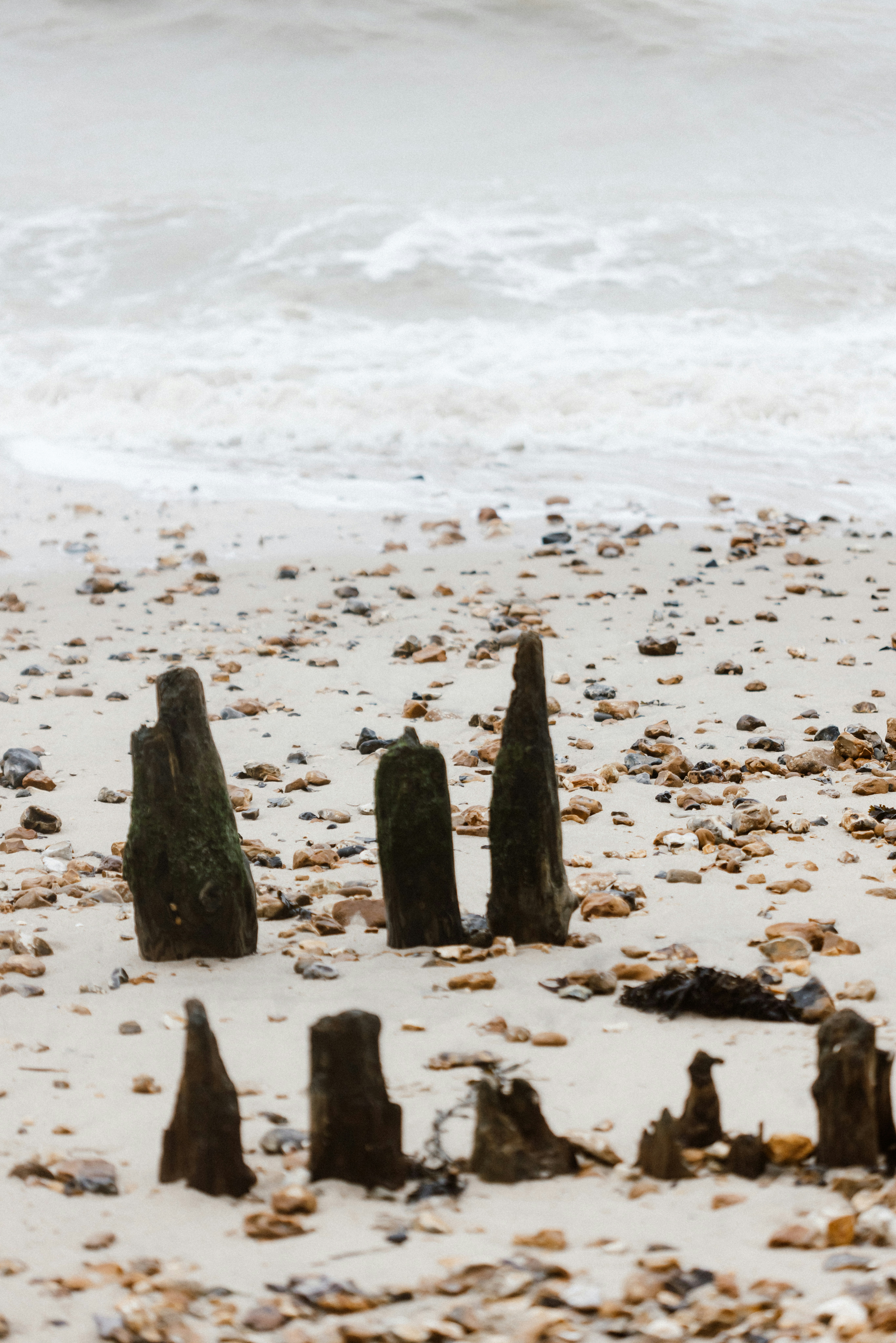 Photo by anniespratt