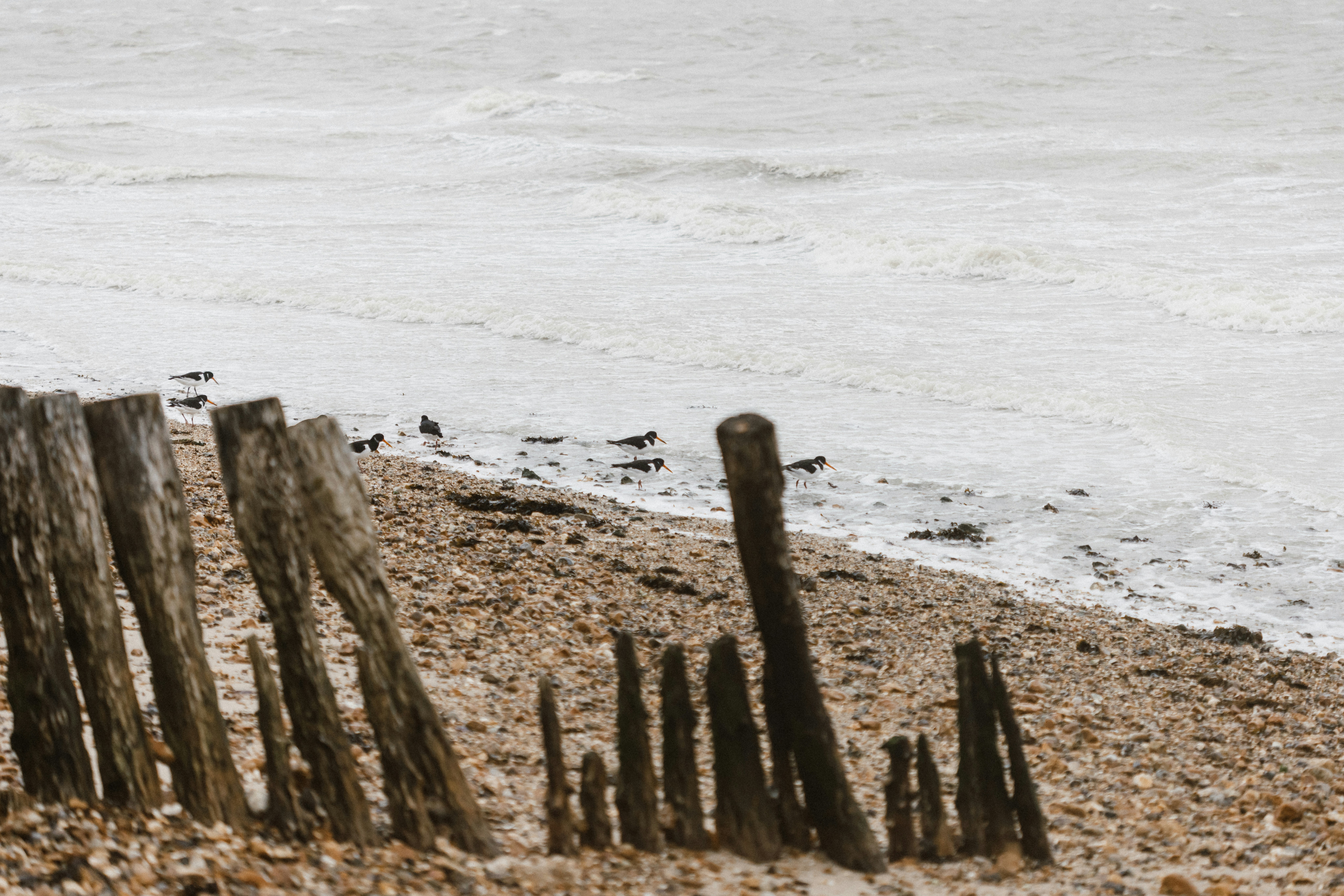 Photo by anniespratt