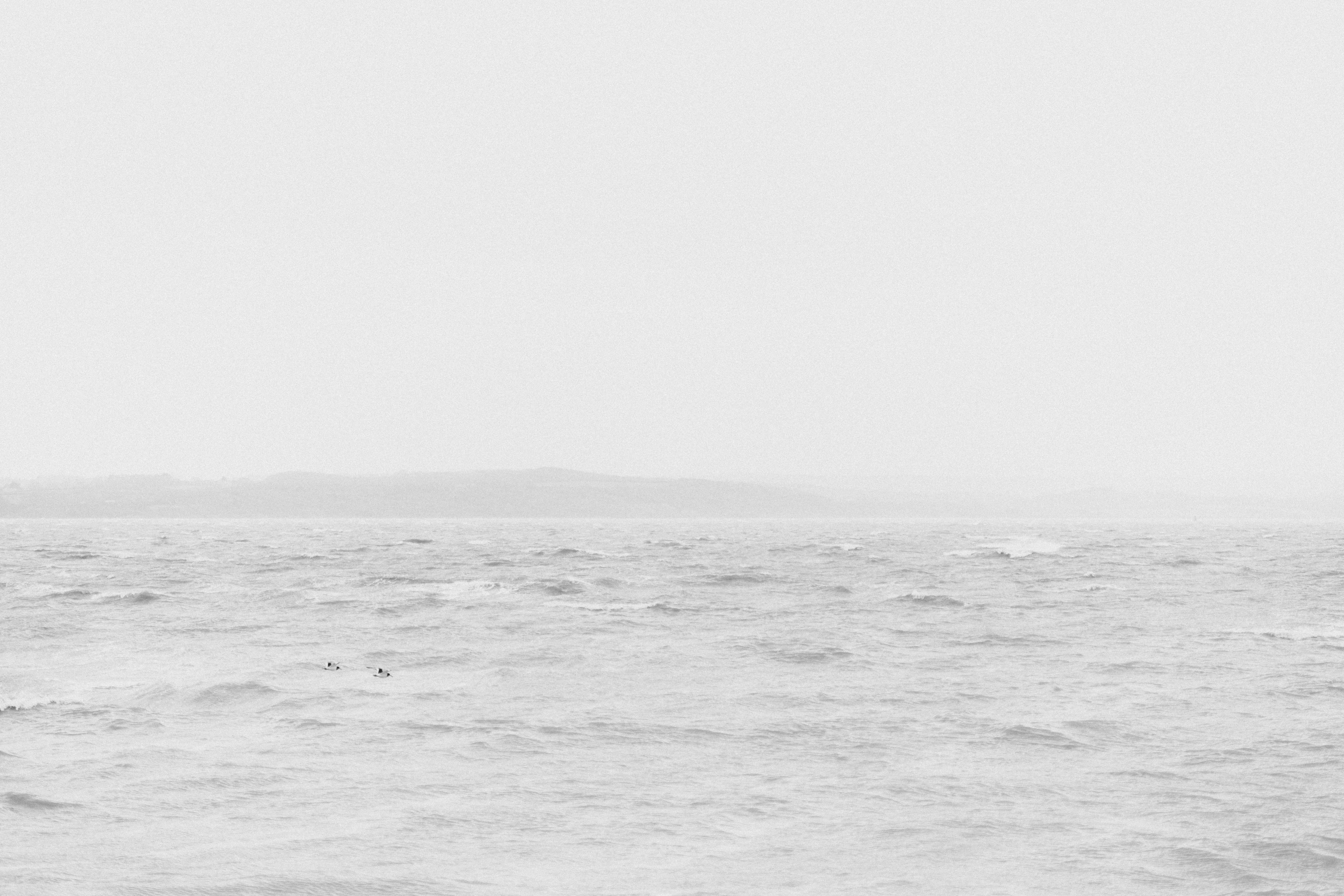 Photo by anniespratt