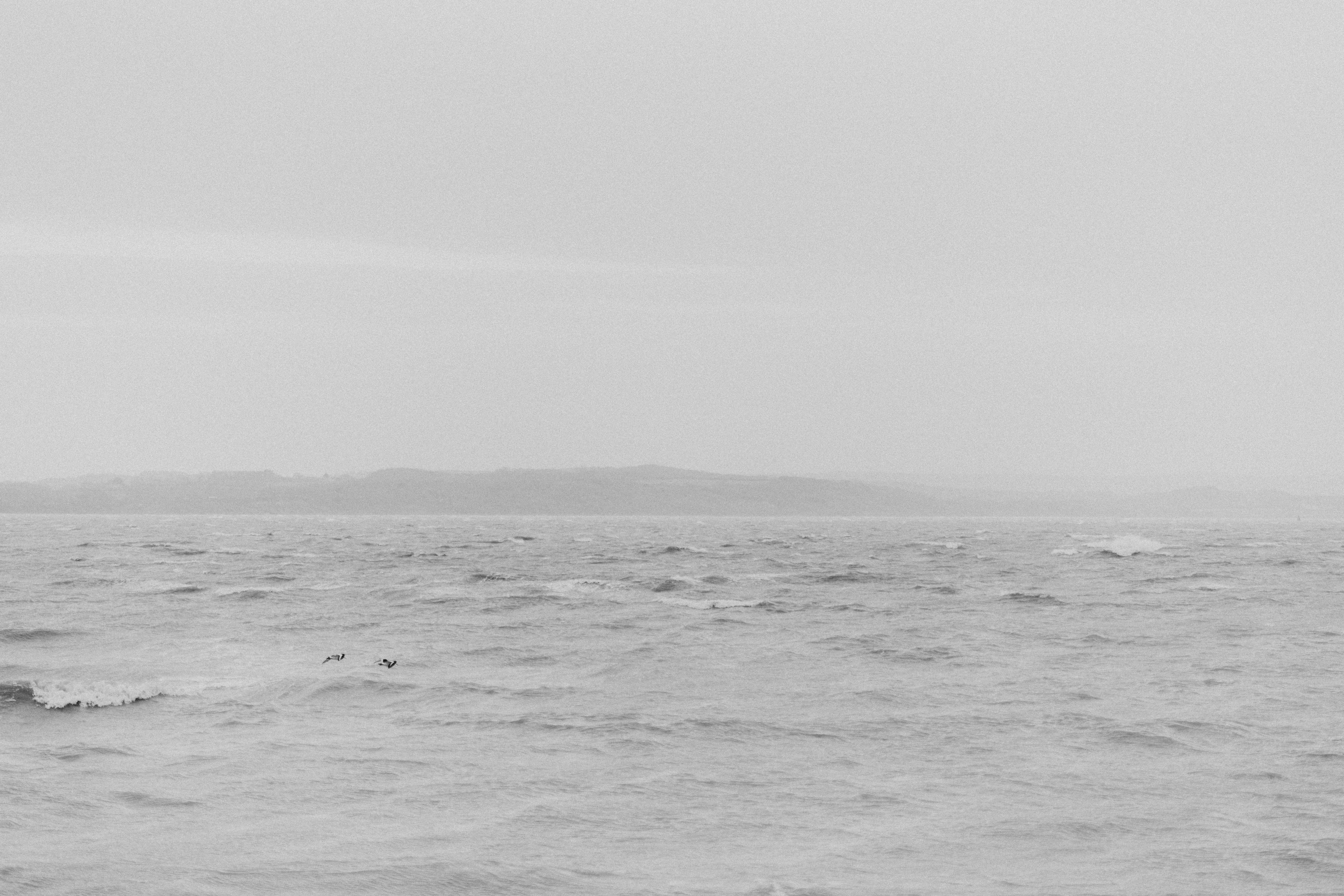 Photo by anniespratt