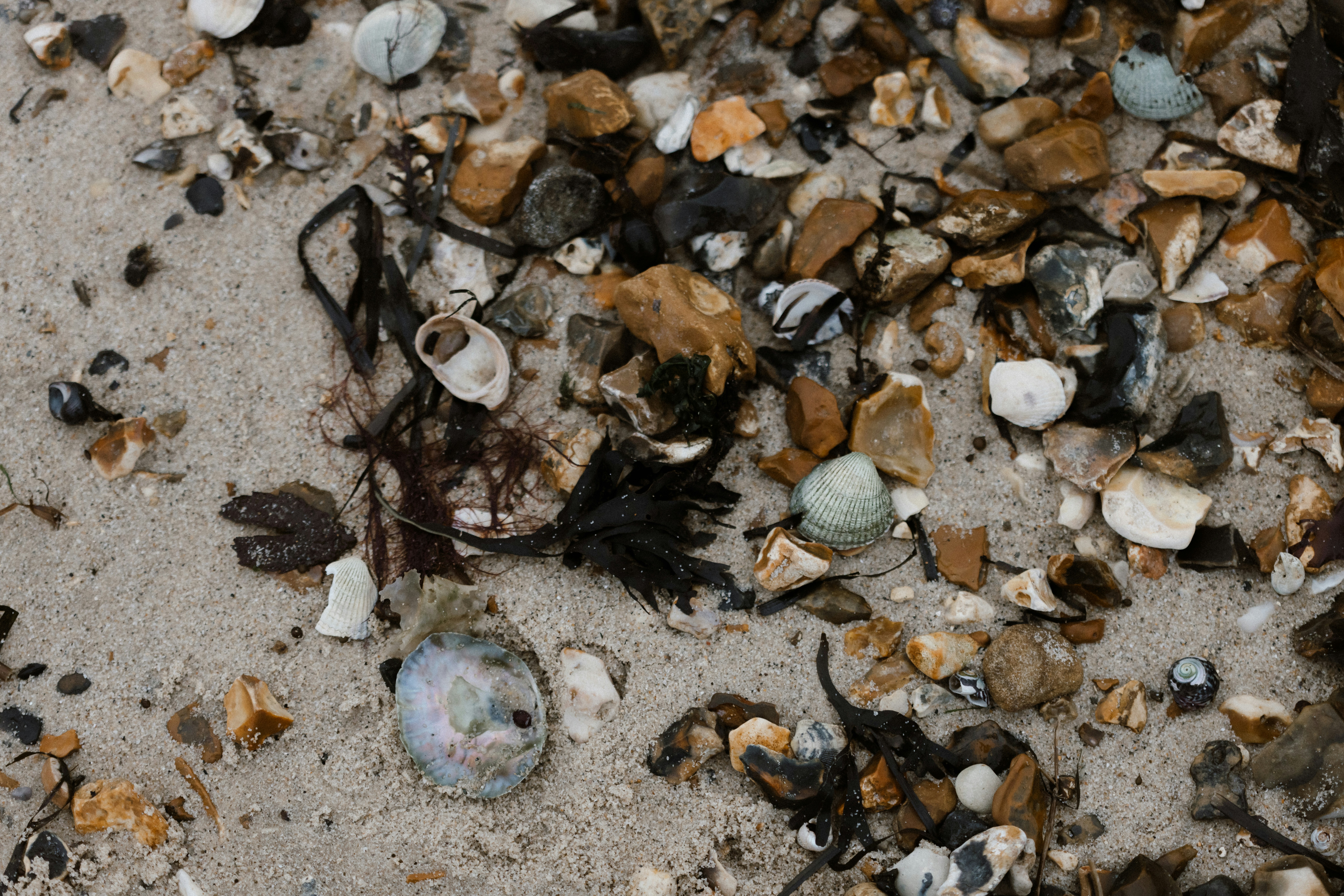 Photo by anniespratt