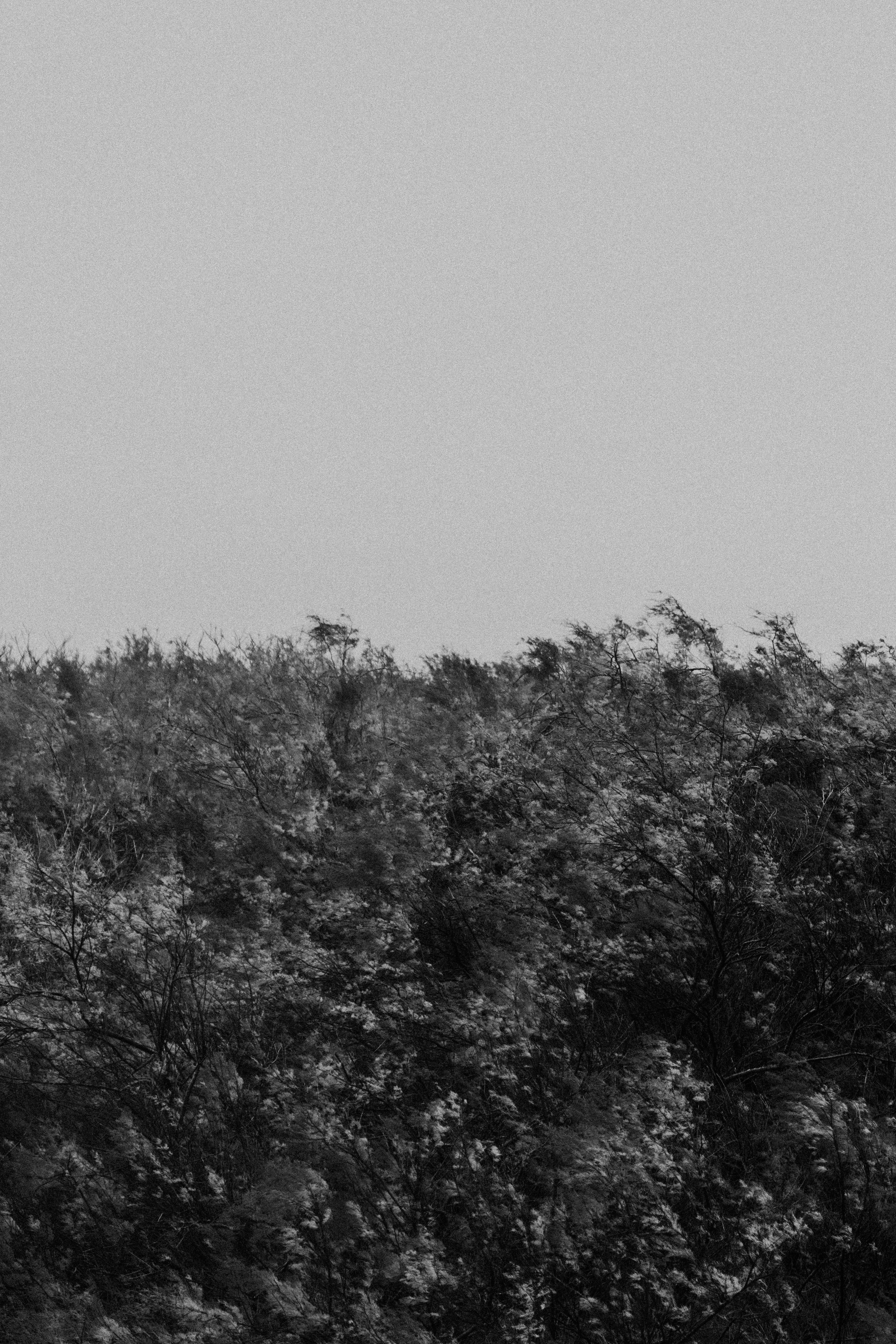 Photo by anniespratt