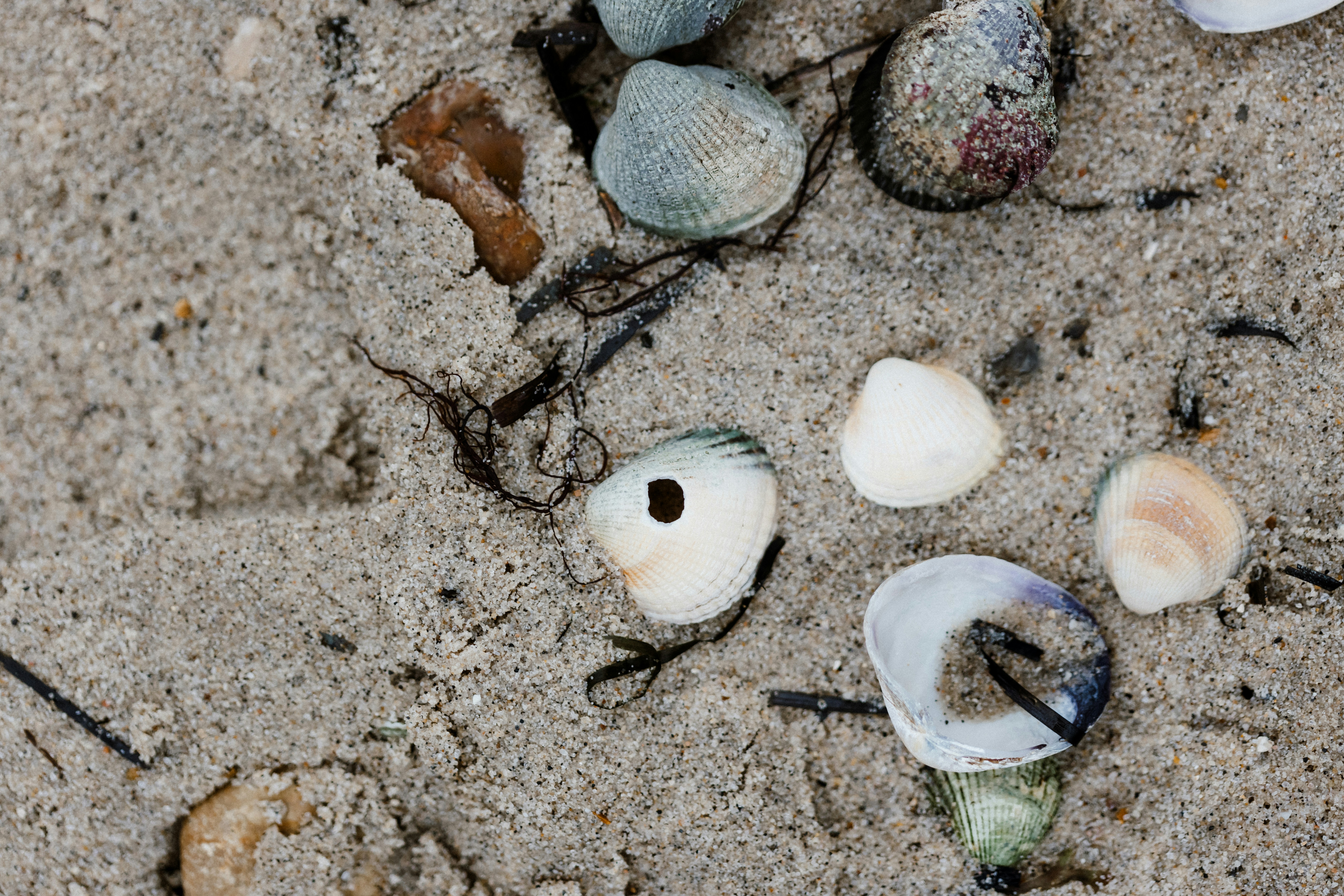 Photo by anniespratt