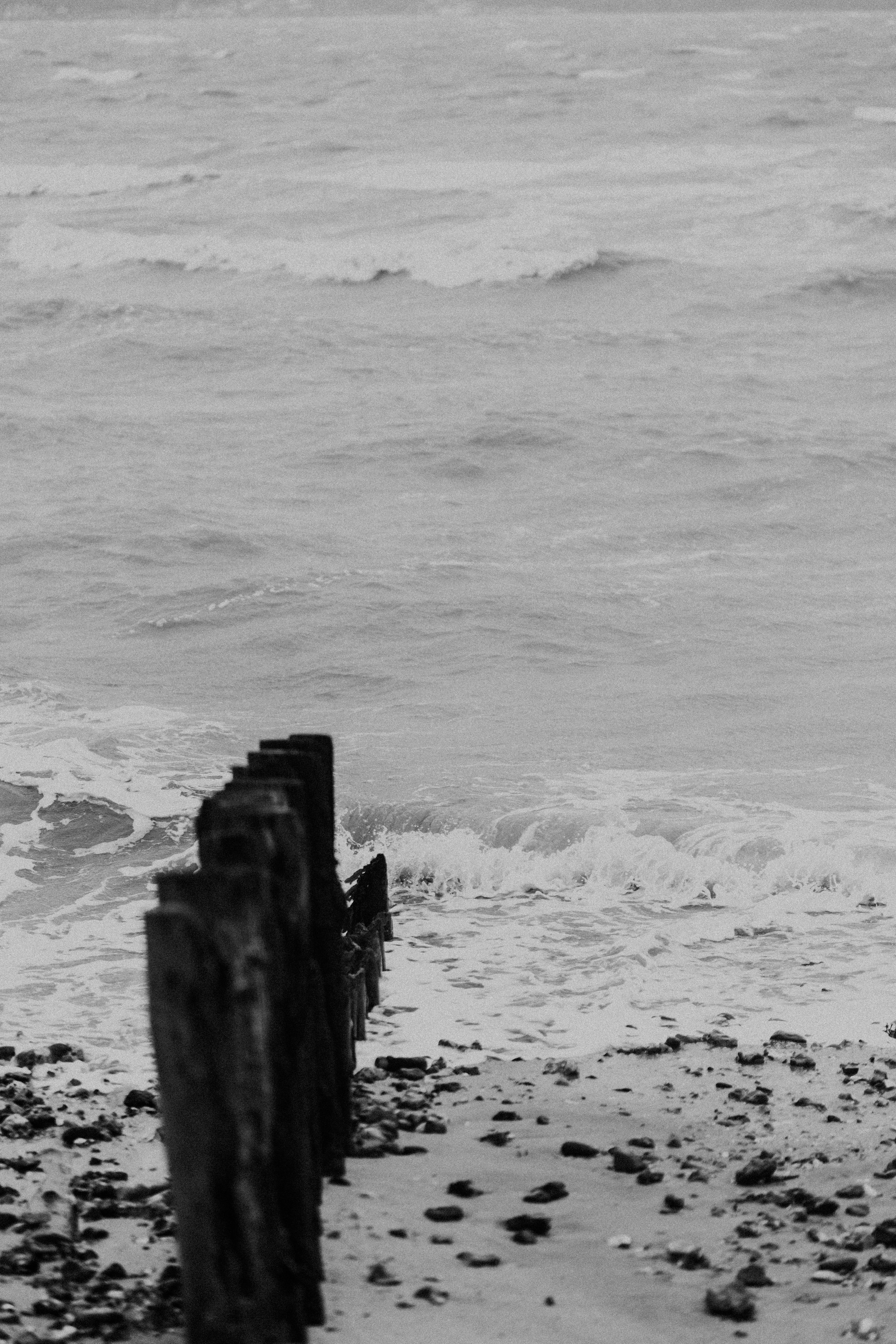 Photo by anniespratt