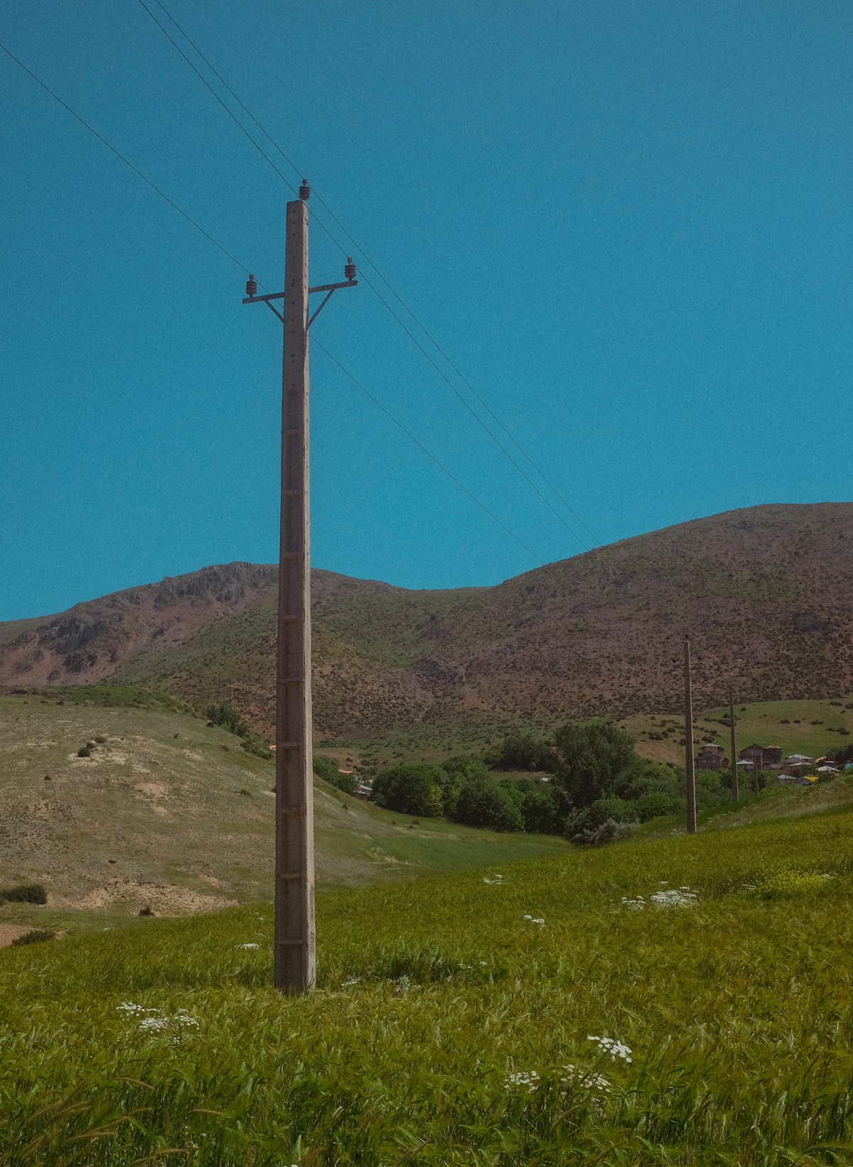 Telephone pole, Deylaman roadside