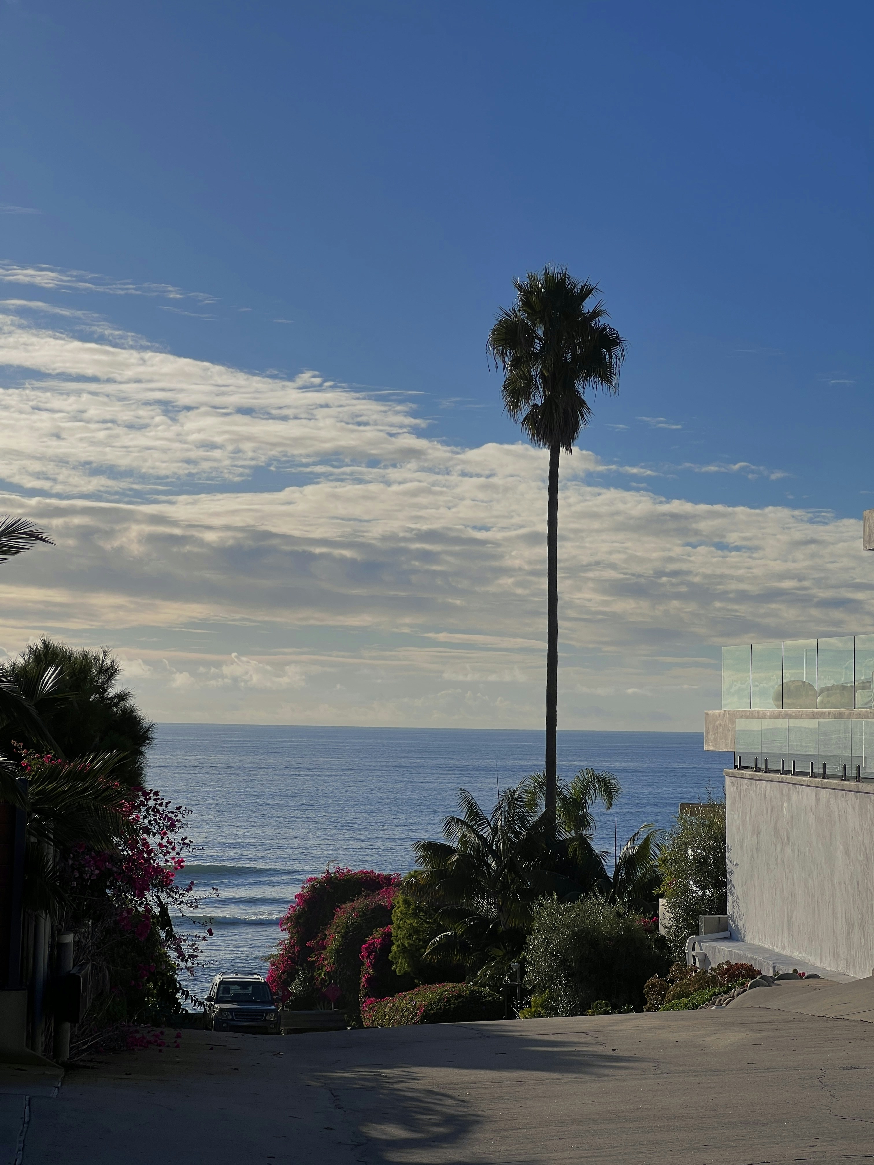 Photo by ilonapurdes