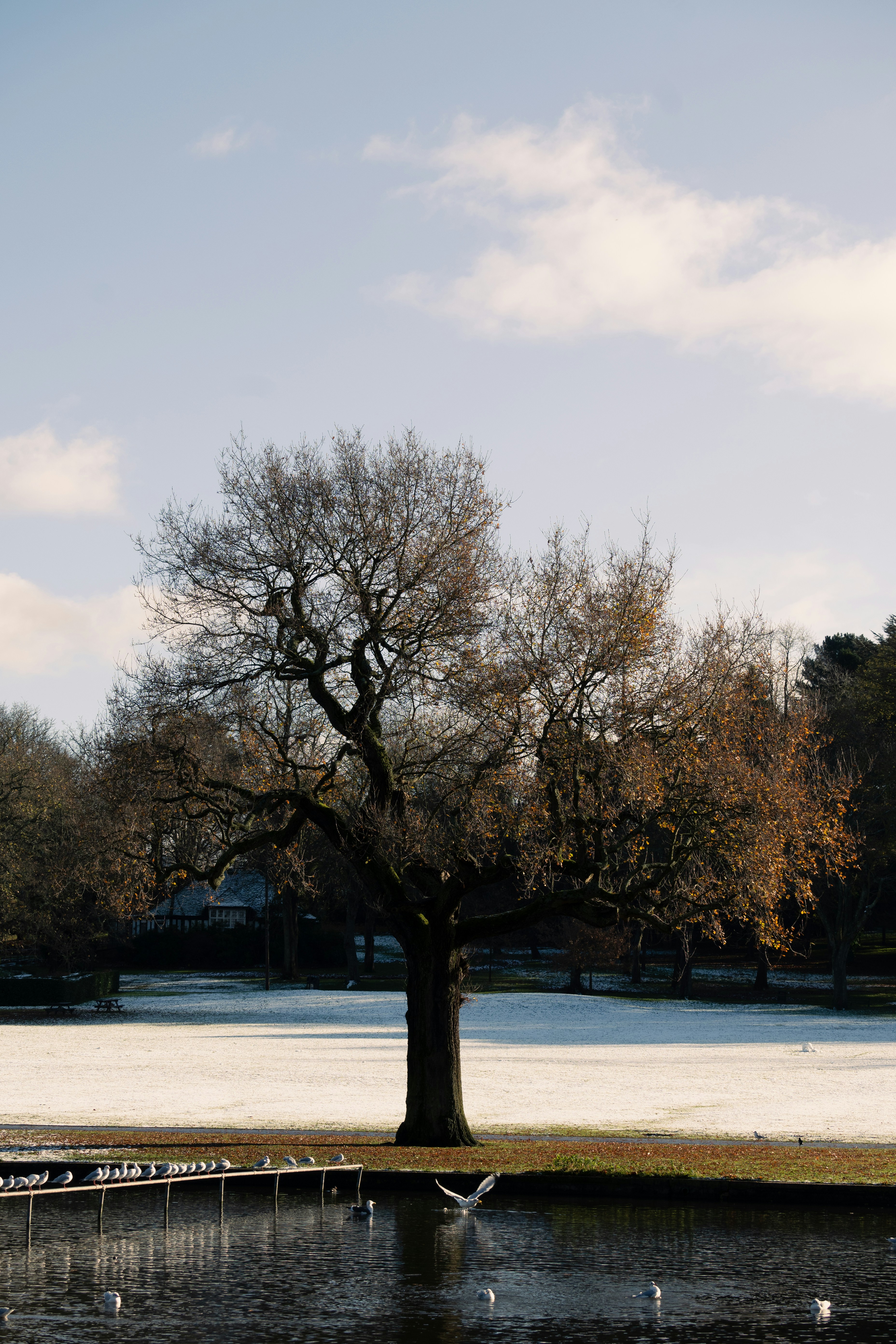 Photo by nathan_wong