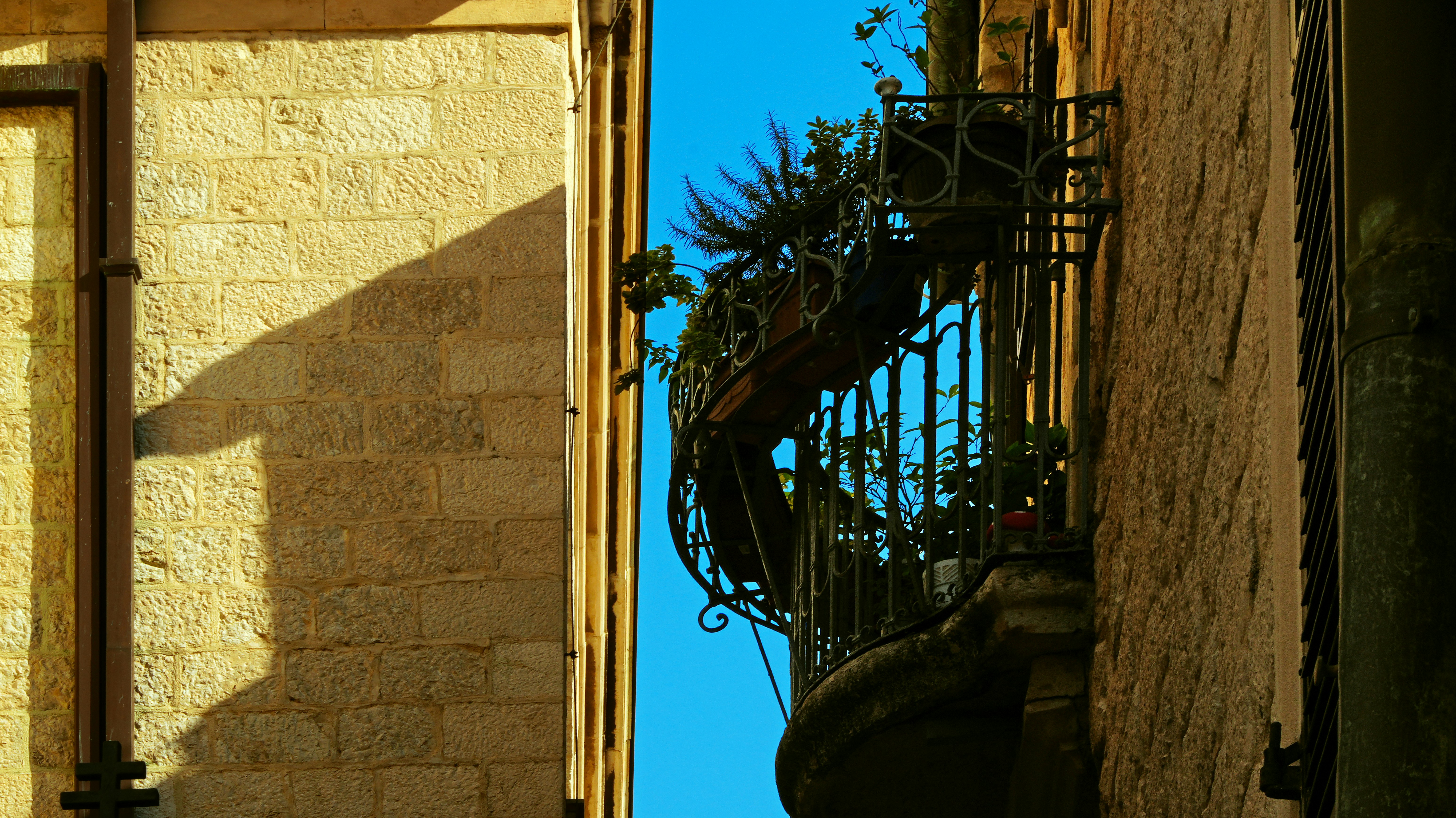 Photo by borisview