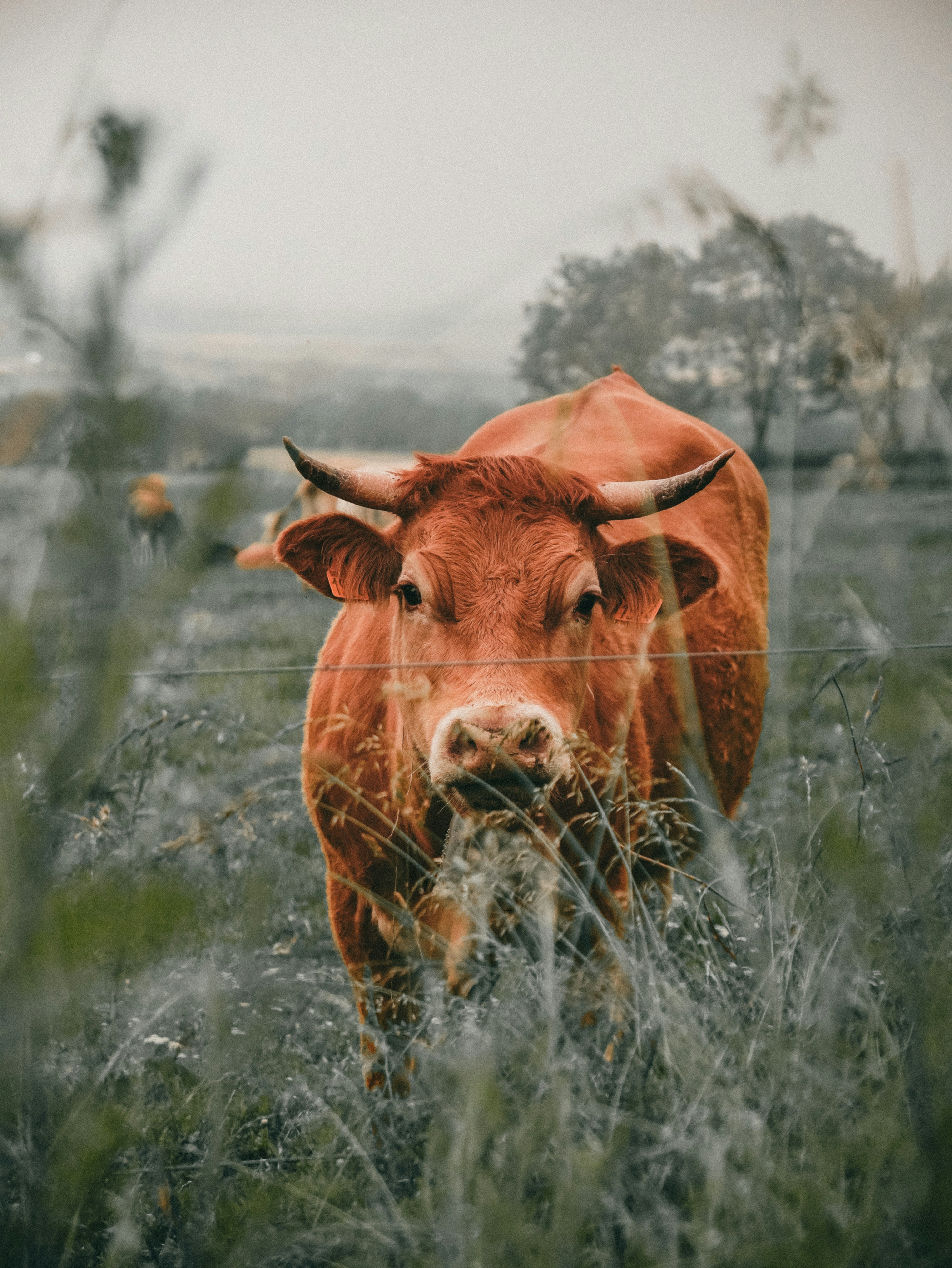 Photo by willgonzalez9