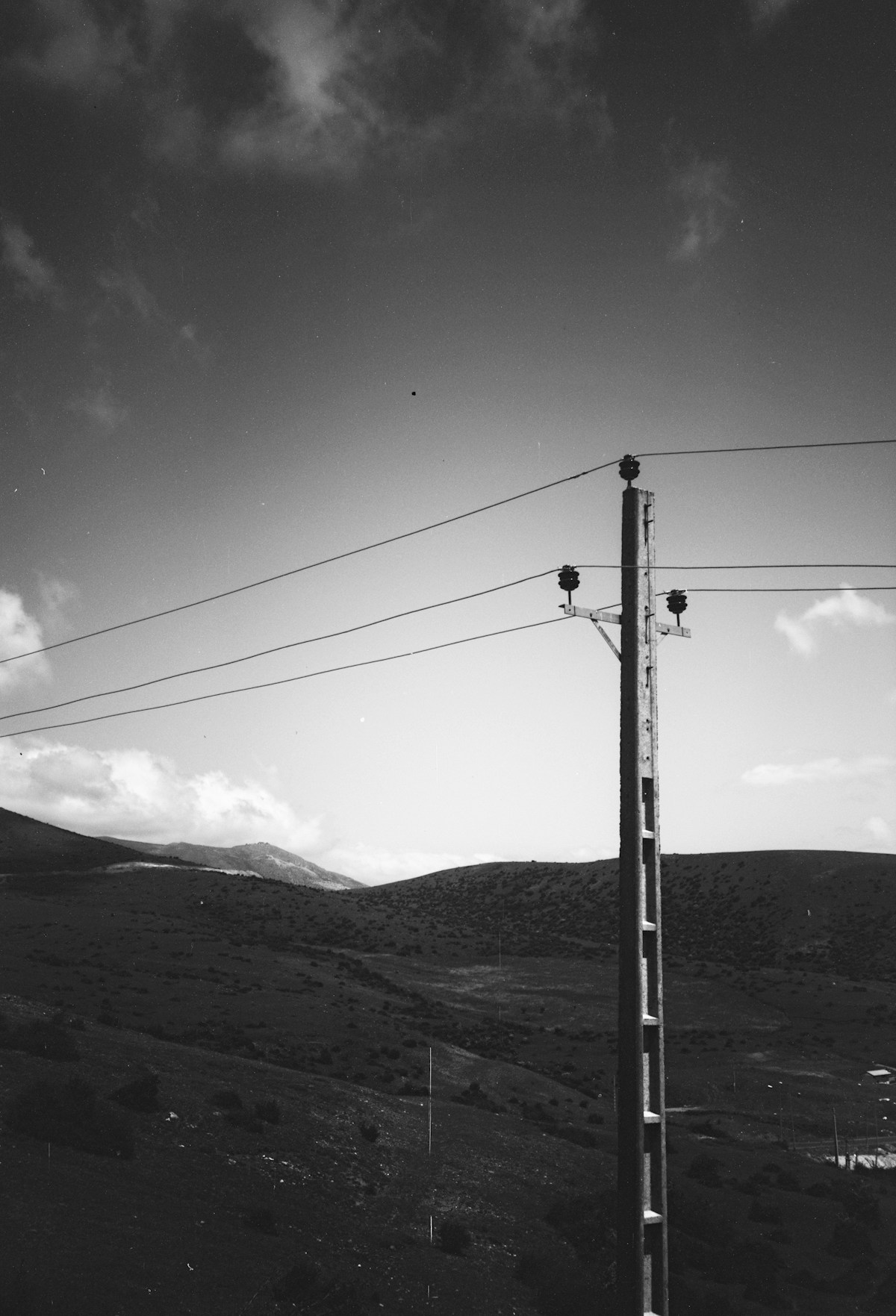 Telephone pole, black and white
