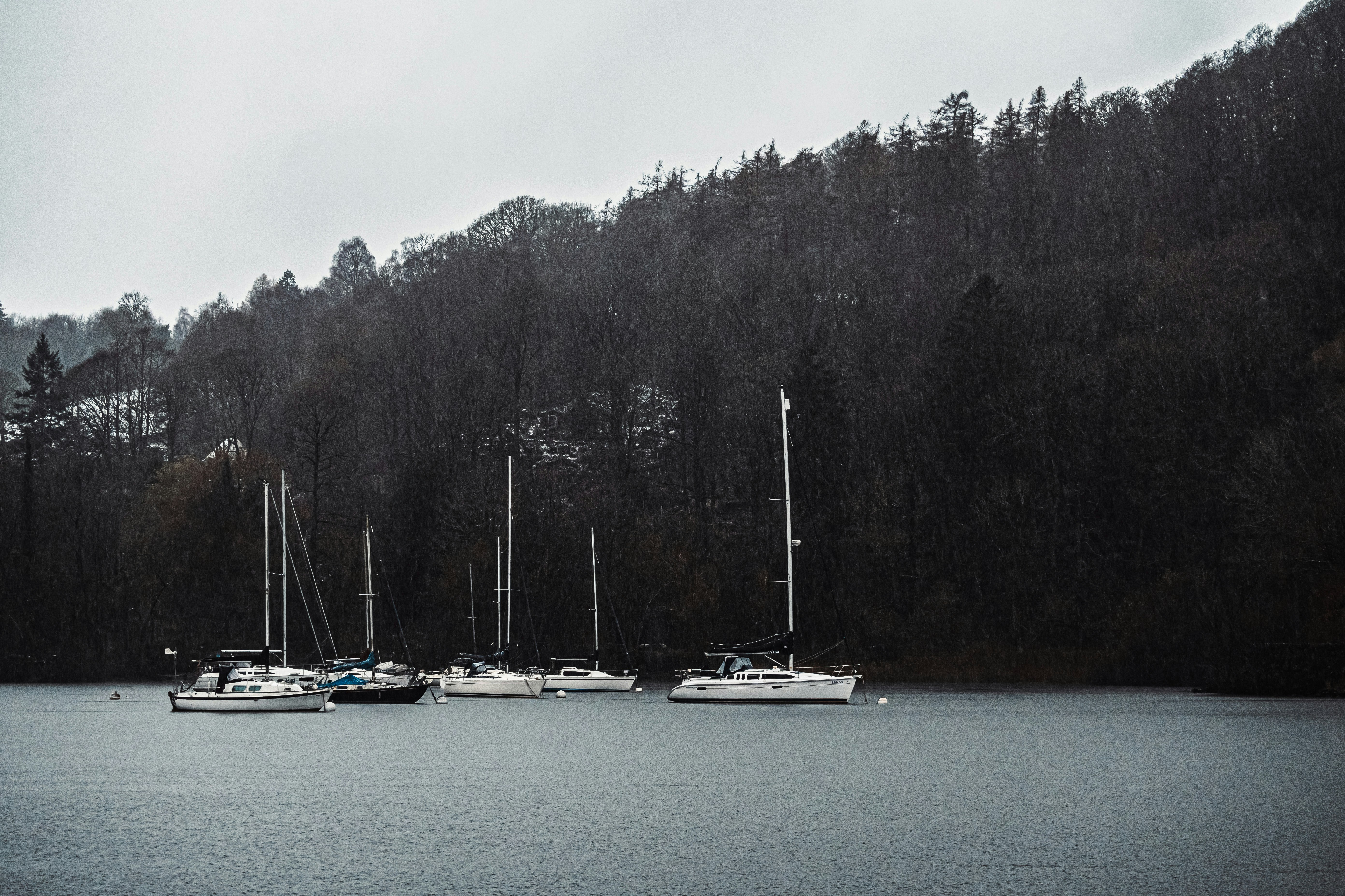 Photo by nathan_wong