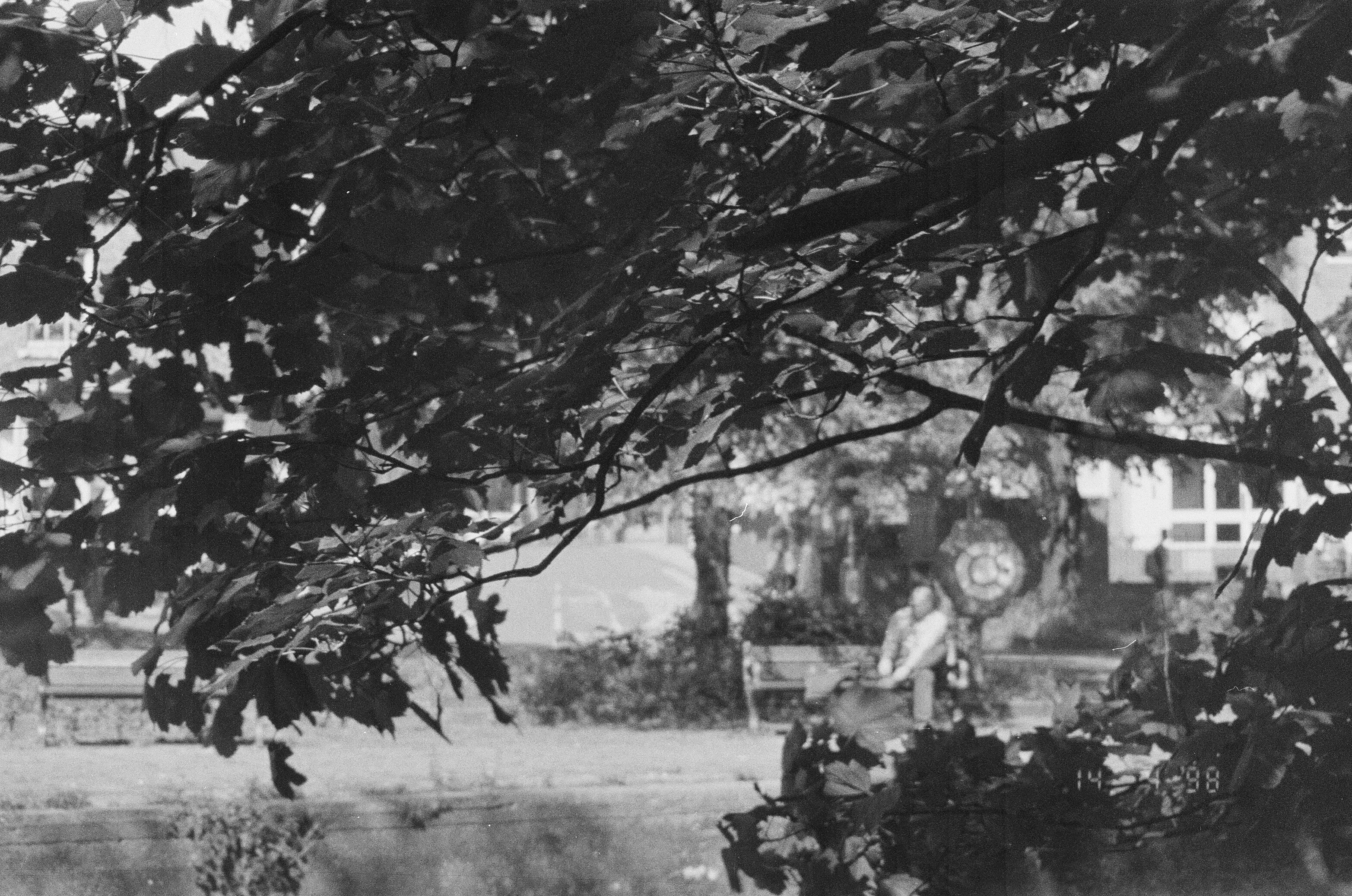 Photo by muffinshire