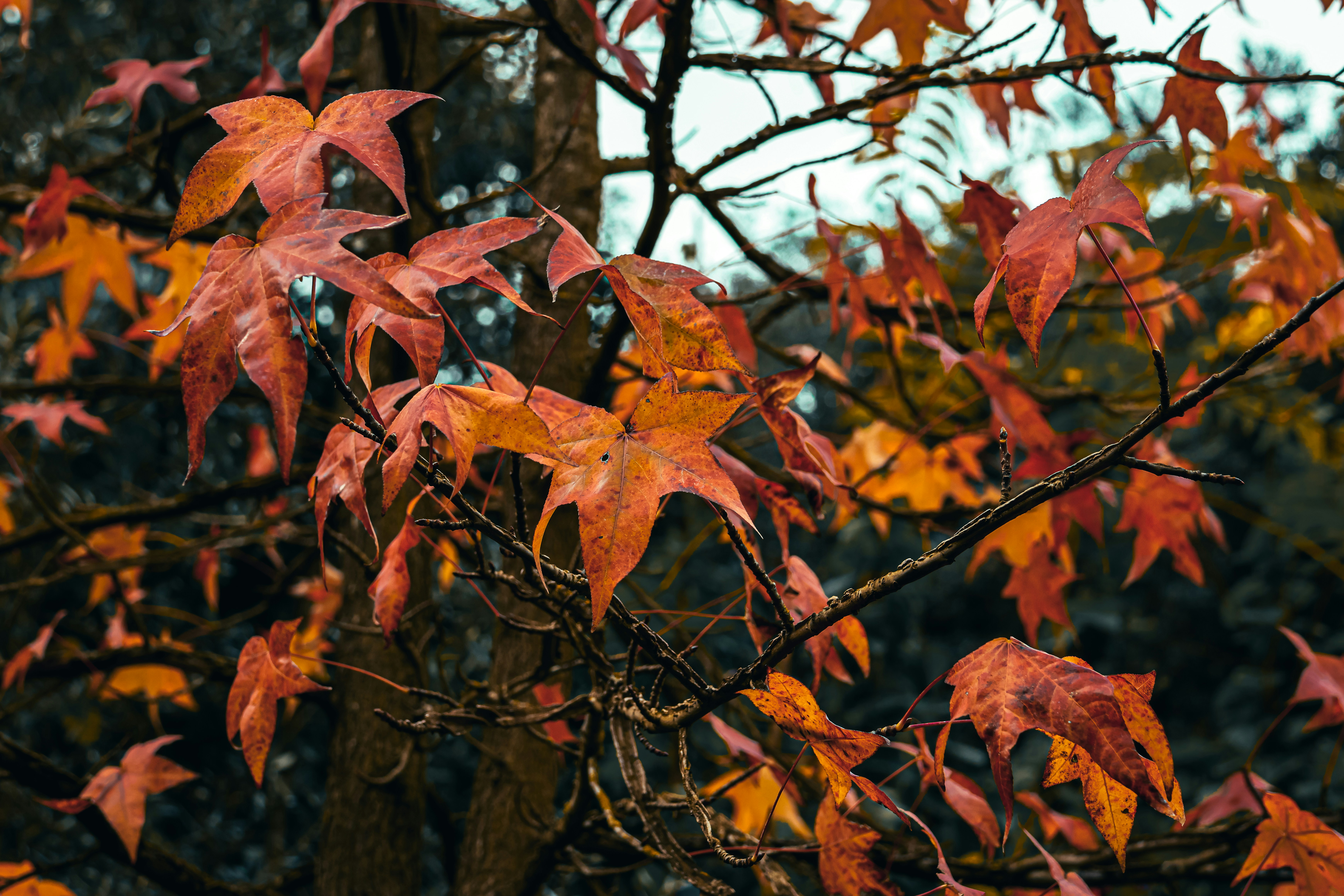 Photo by wendell_adriel